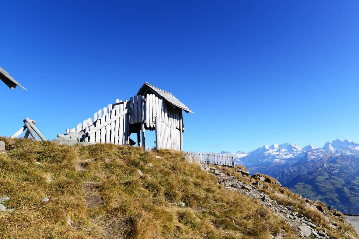 27164921_1917989841863338_908421319154119895_o