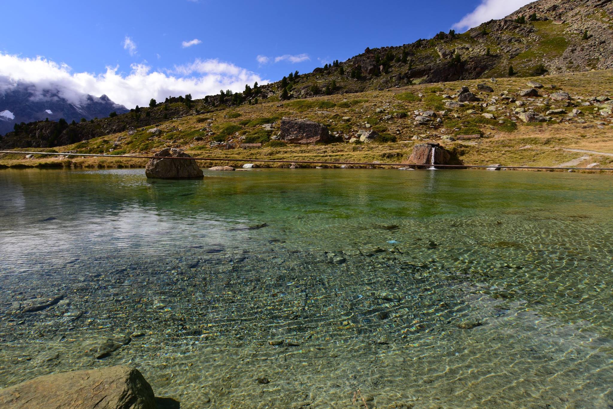 27173127_1913752962287026_2141880451801322429_o