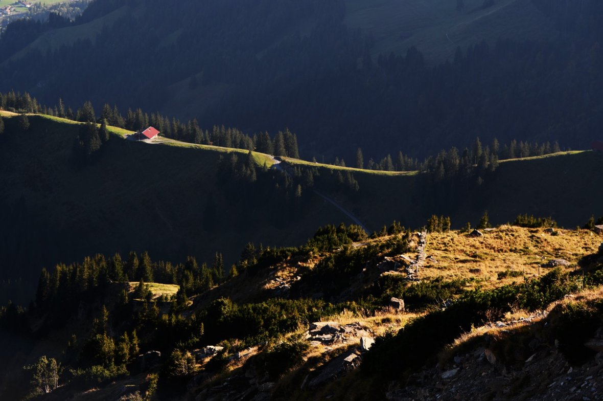 27503786_1917990138529975_7558707655691334858_o