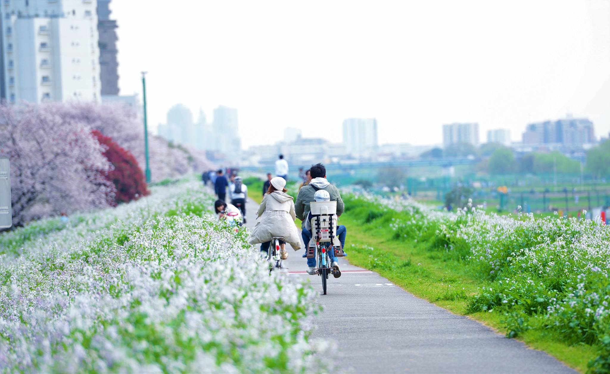 16991961_1748395035489487_5473815279697444642_o