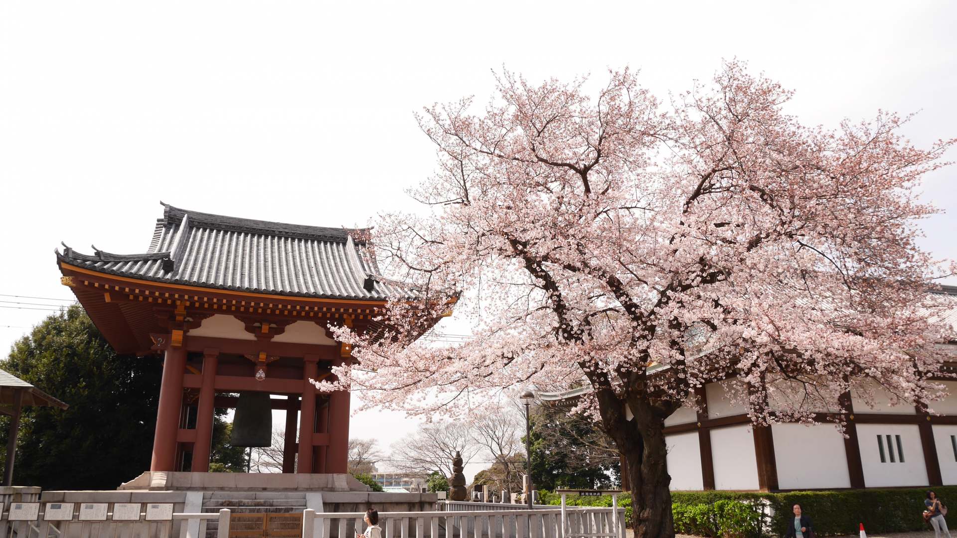 20170228_173359_5f2b22ed_w1920