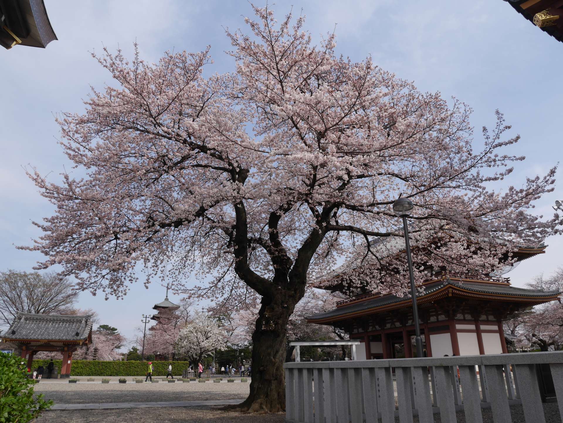 20170228_173542_ace1707e_w1920