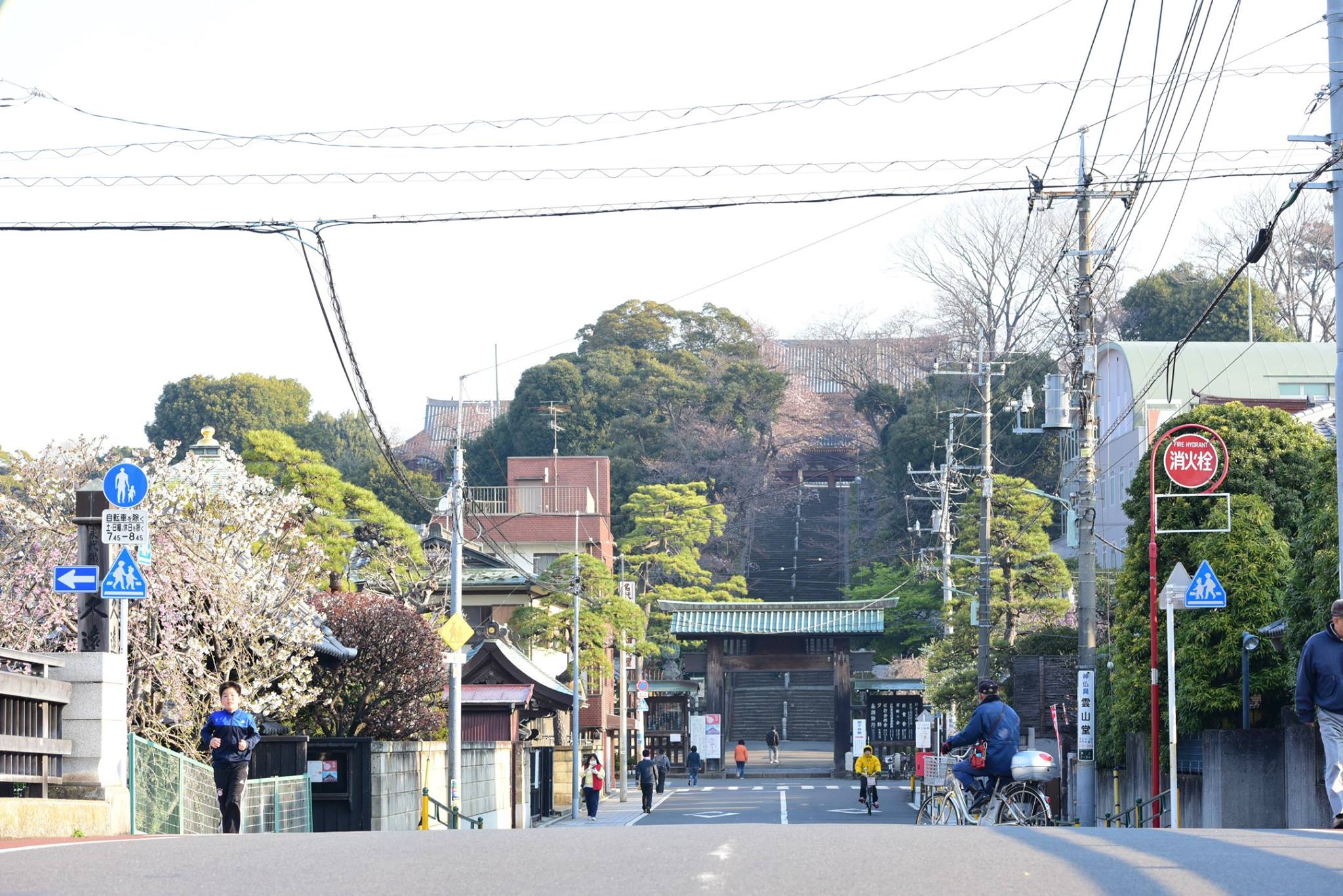 27625239_1922681734727482_895360558421341291_o