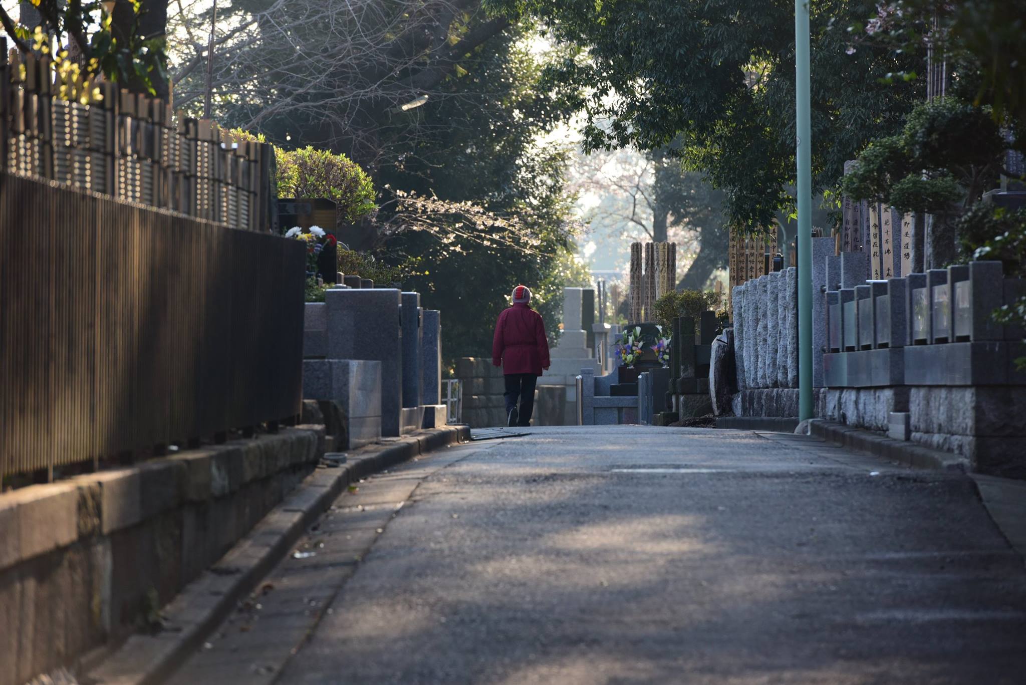 27625281_1922681828060806_7750401532253447947_o