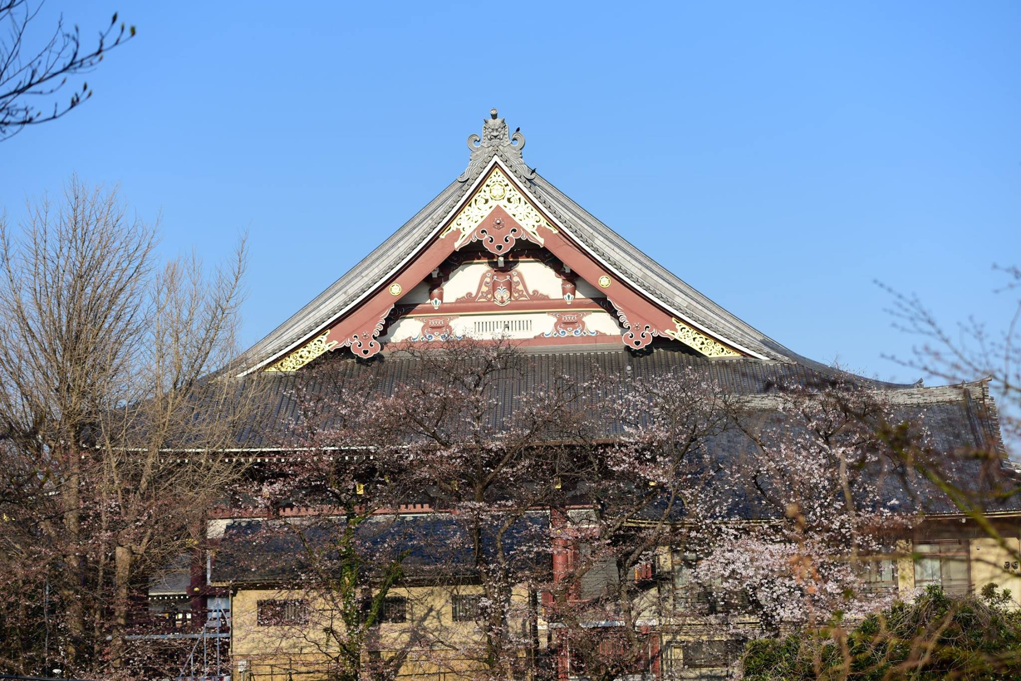 27628556_1922681954727460_665410773213777708_o