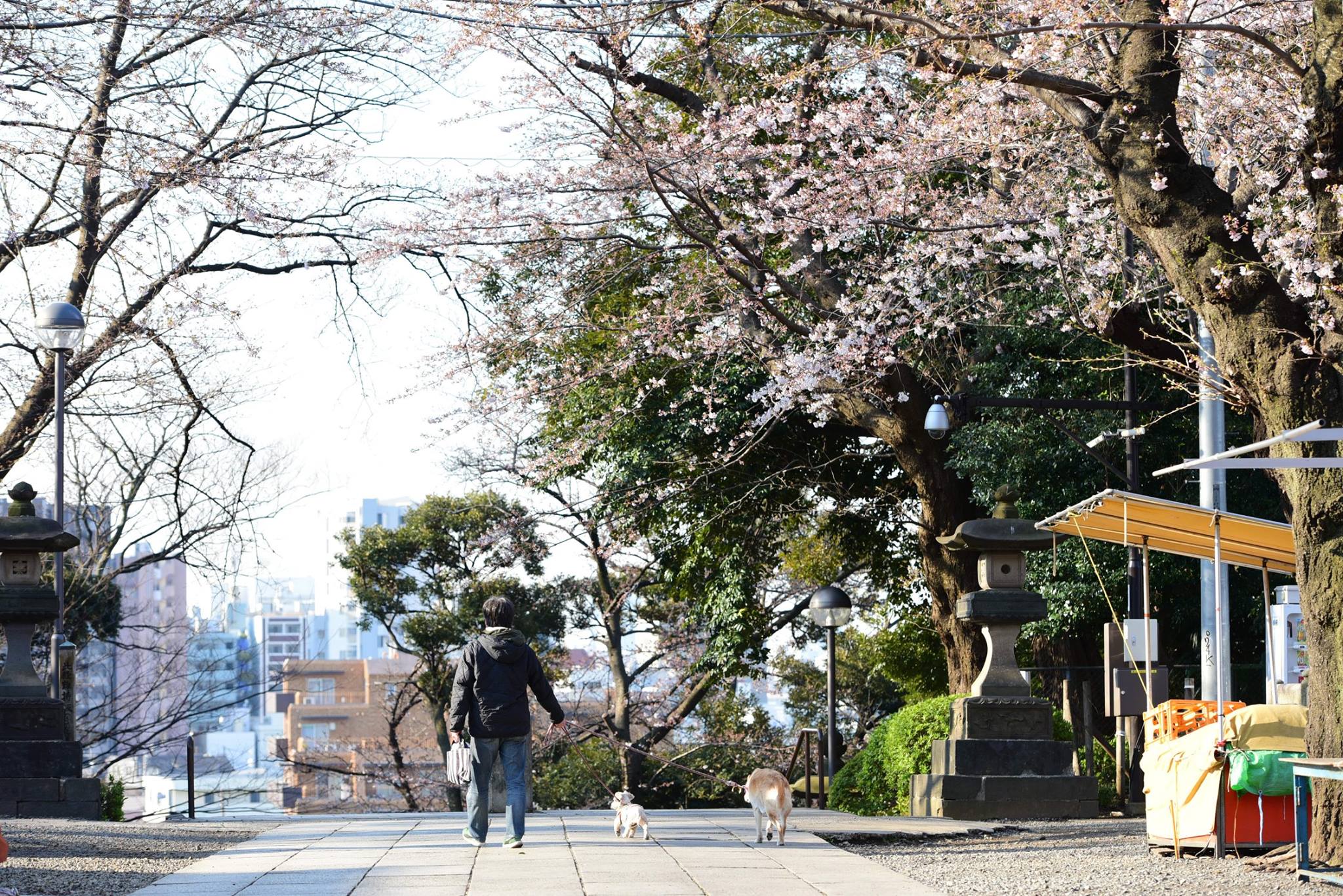 27629393_1922682044727451_2148809448652170237_o