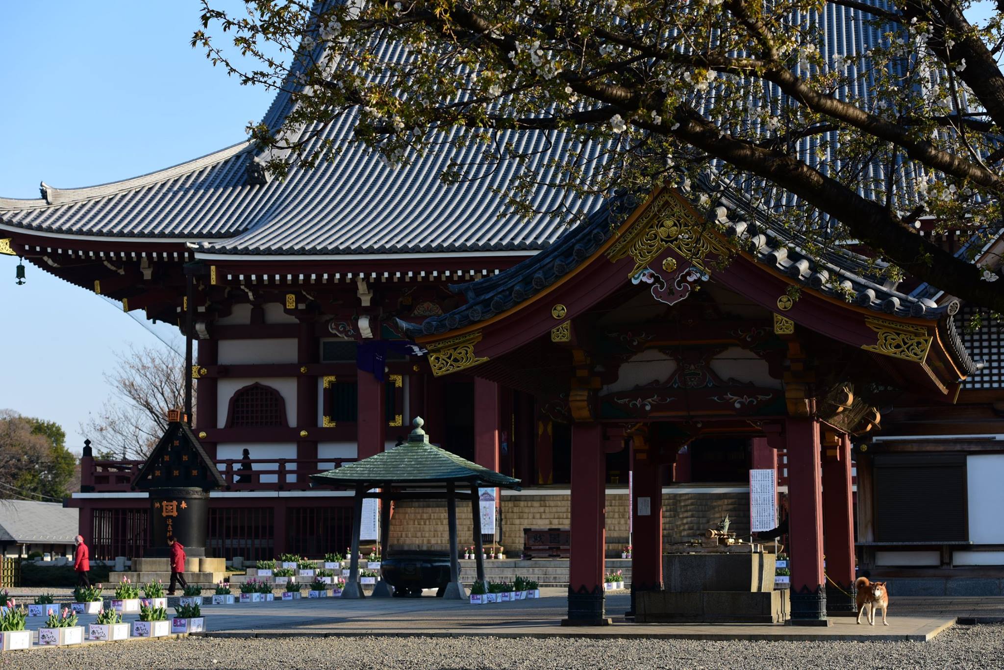 27788151_1922681898060799_8329887994900034517_o