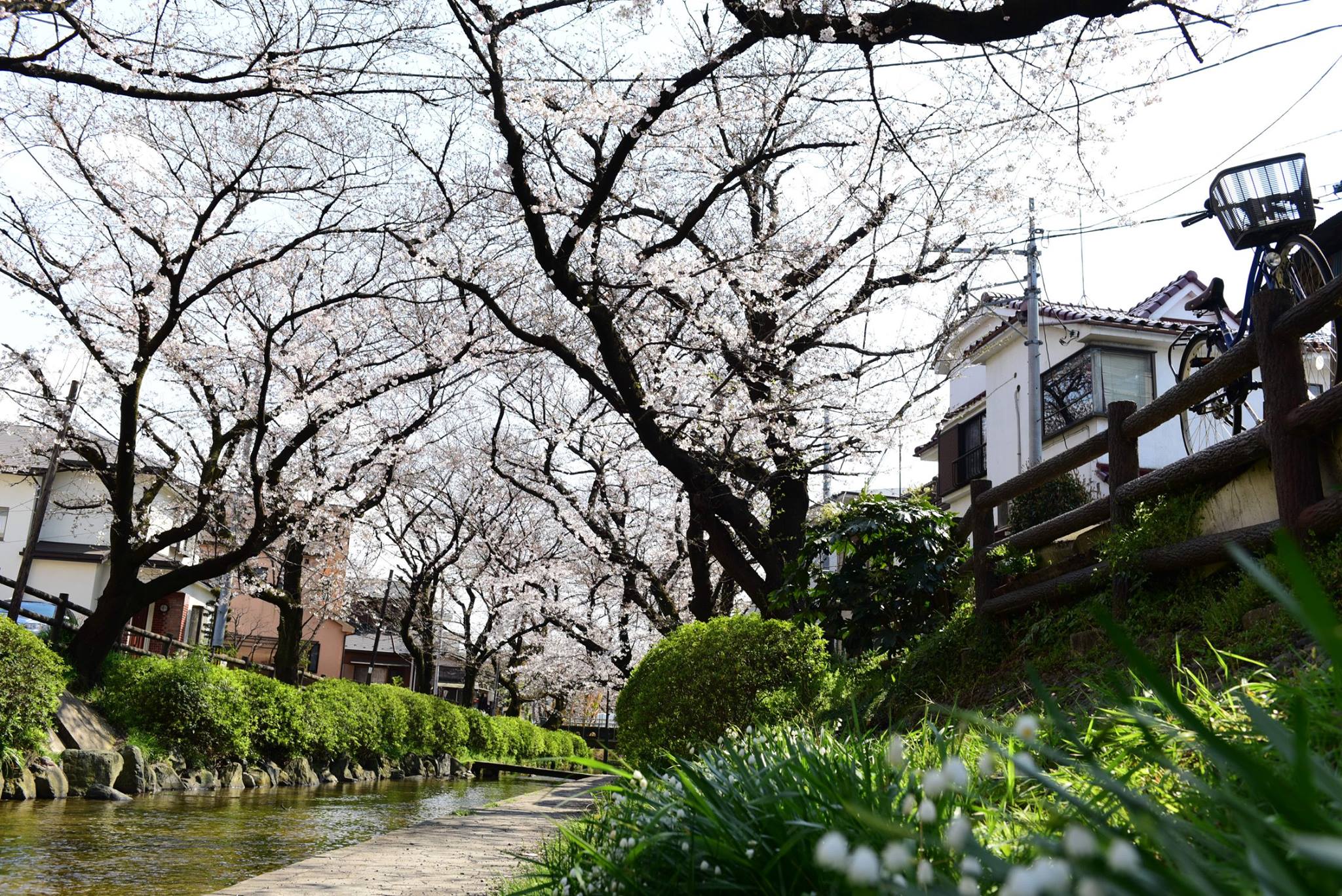 27908300_1926392341023088_3155391581204041231_o