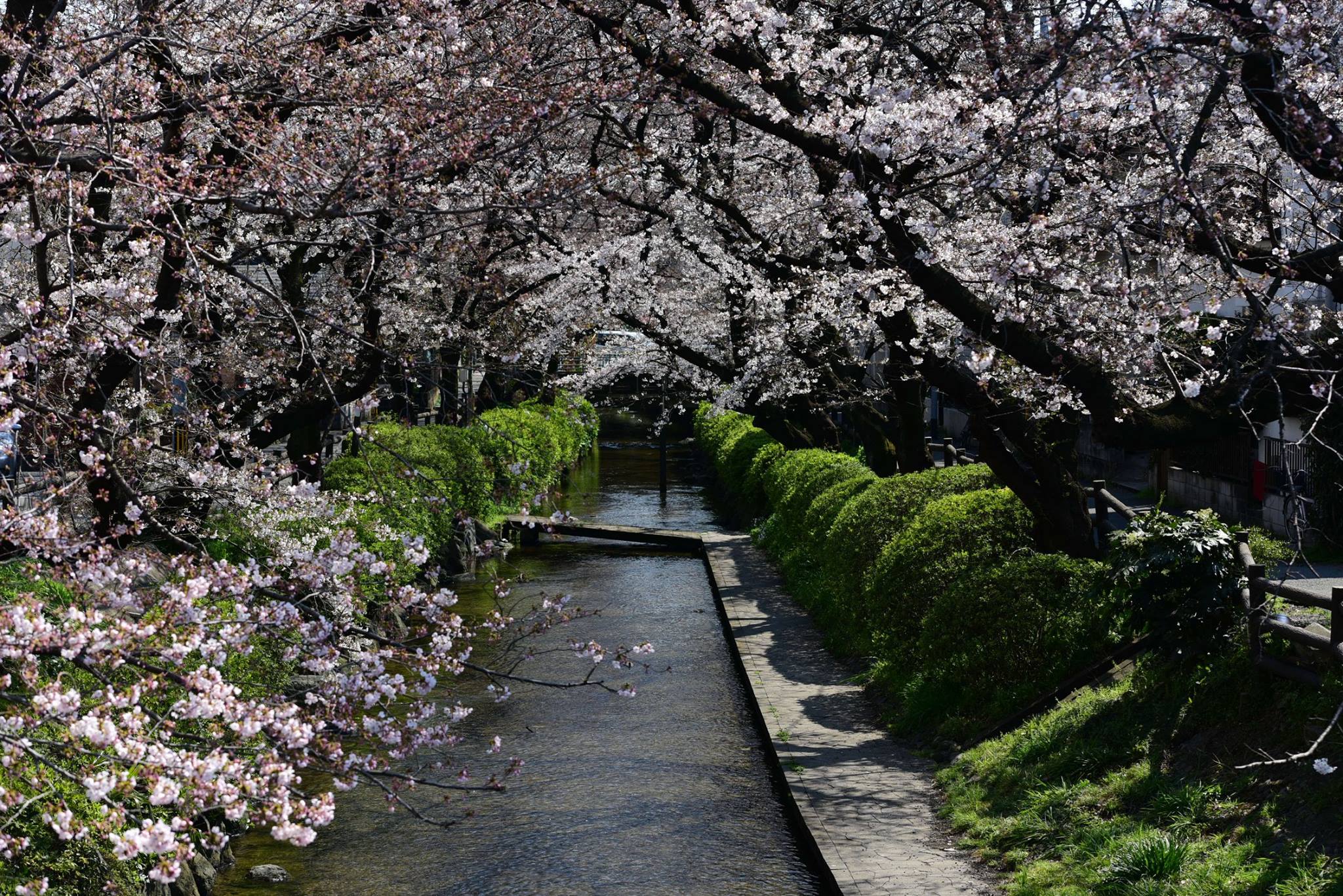 27913037_1926392107689778_2407745154322505773_o