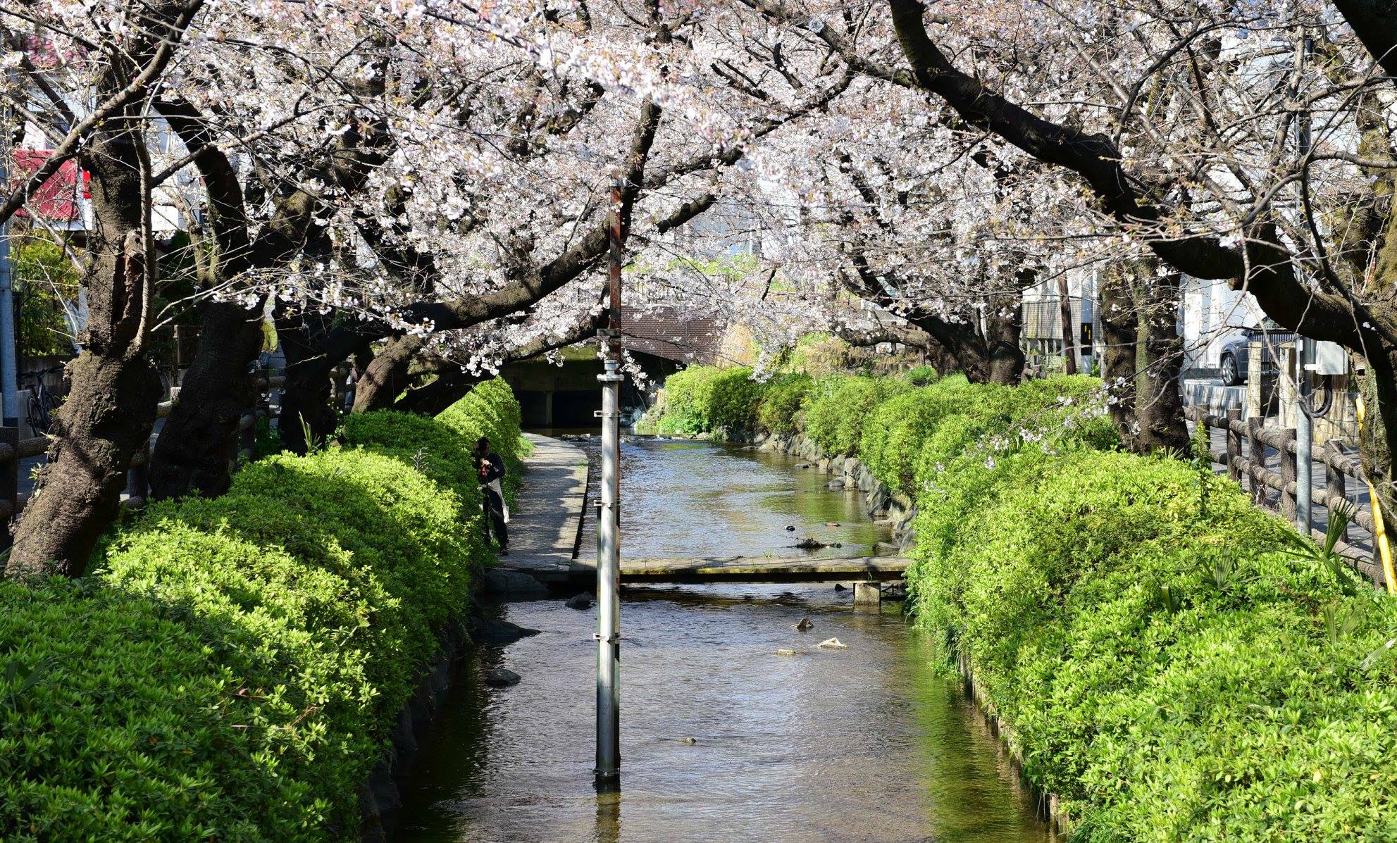 27913390_1926392591023063_2370857907672095666_o