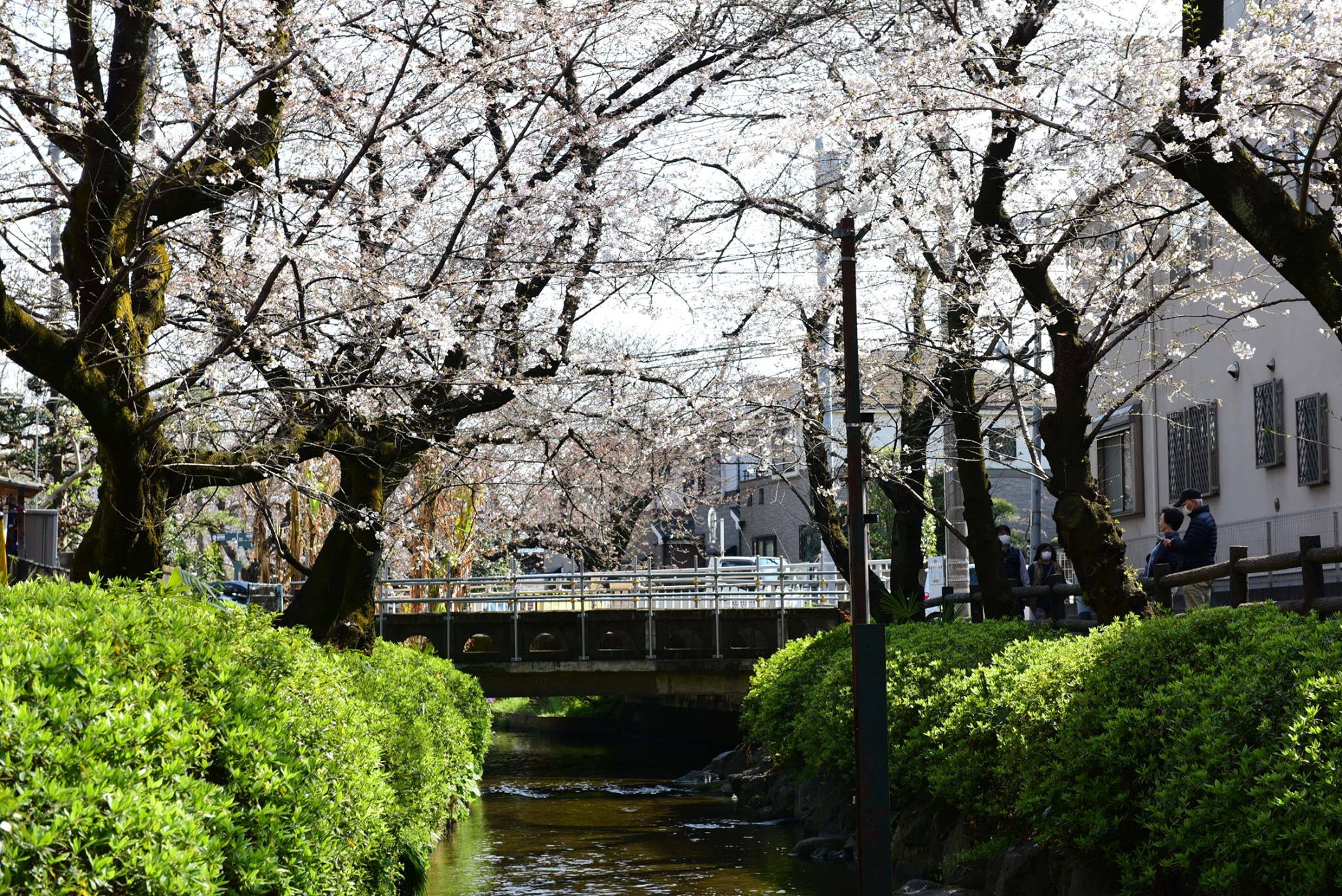 27982648_1926392561023066_8836244401297005307_o