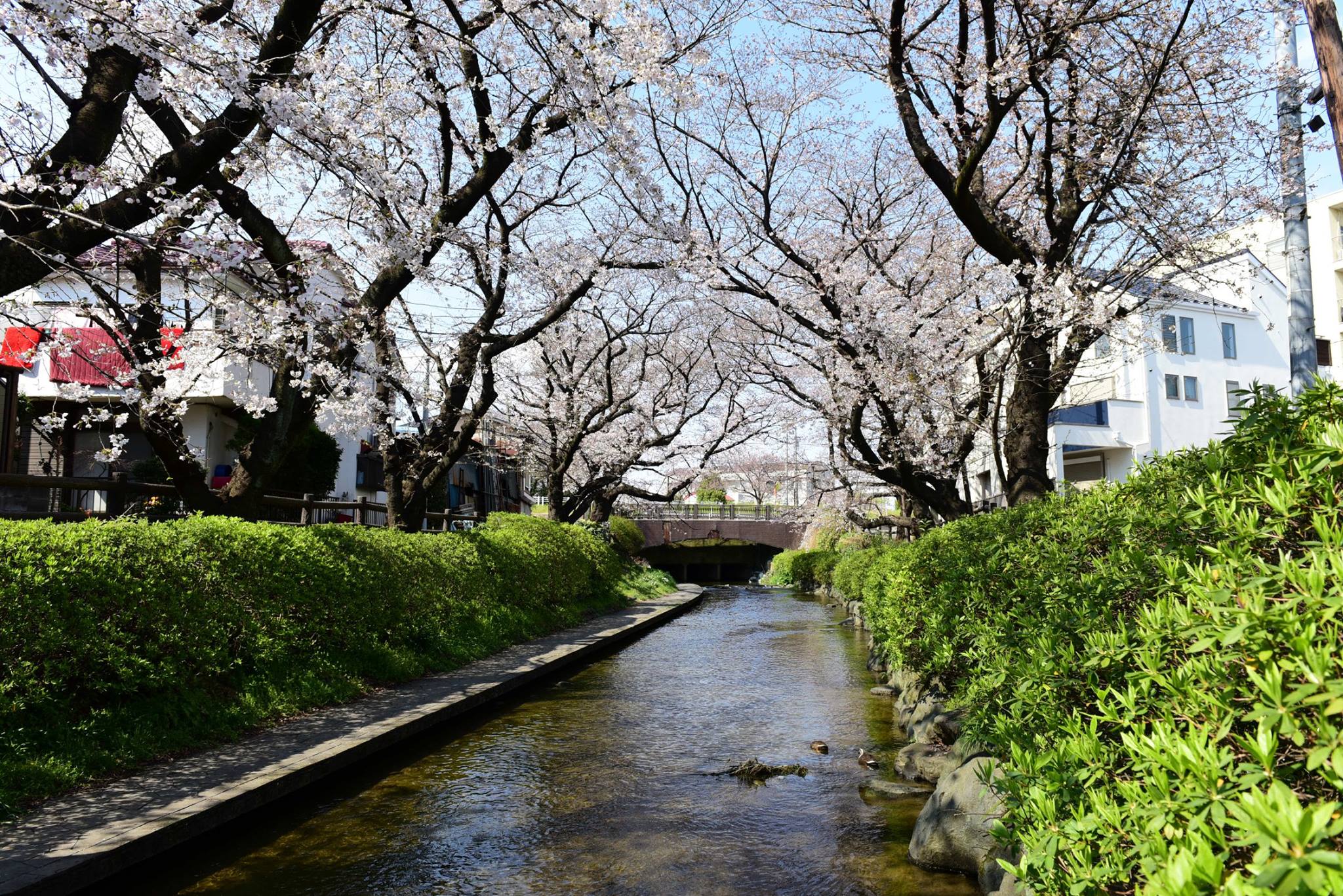 27982767_1926392544356401_733603824655359269_o