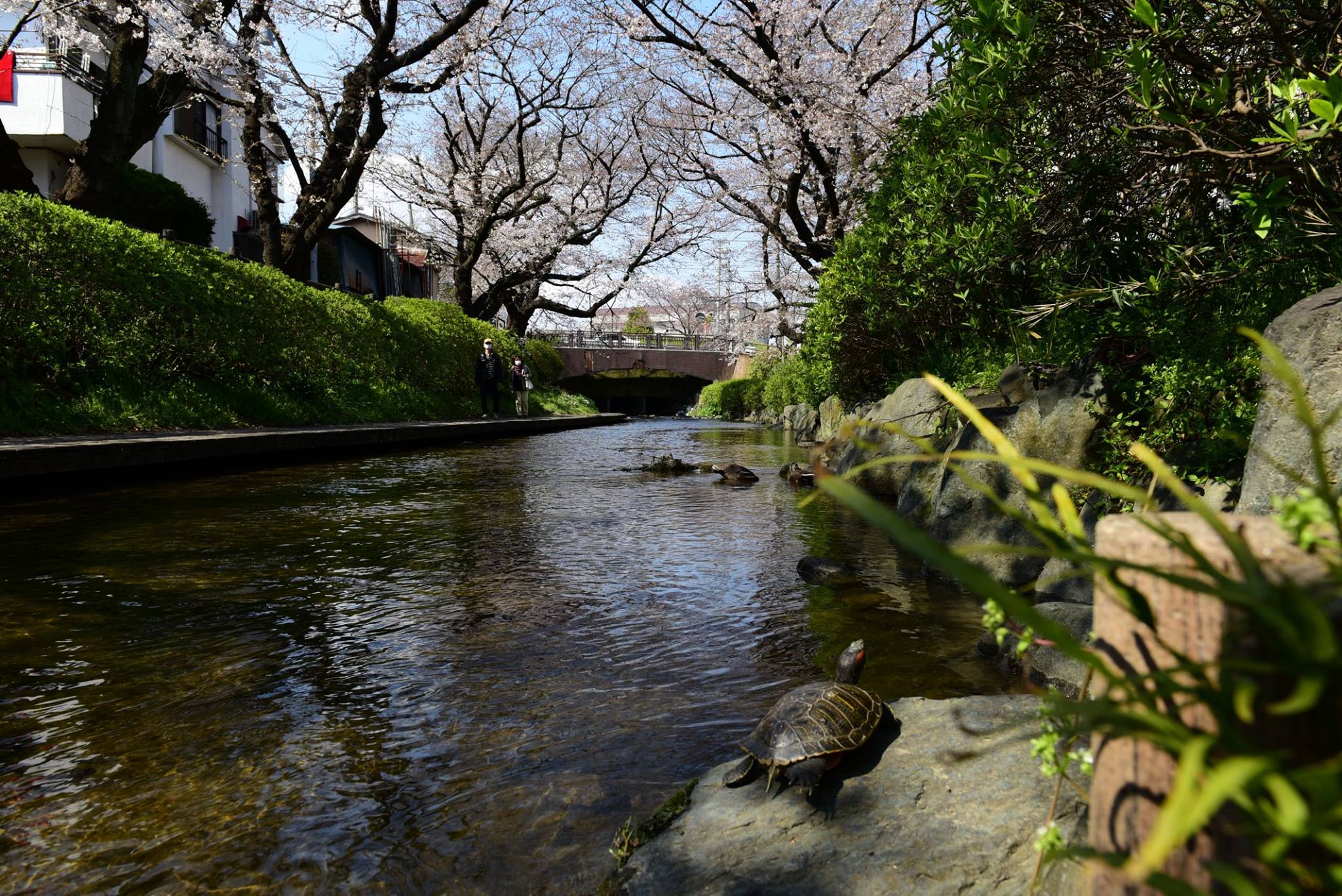 27983458_1926392384356417_7445796284417897371_o