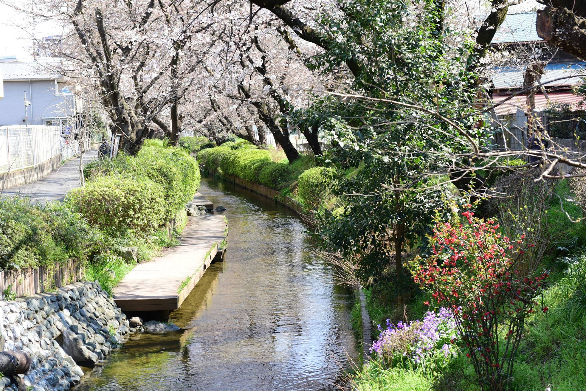 27992913_1926392577689731_2404265342037554024_o