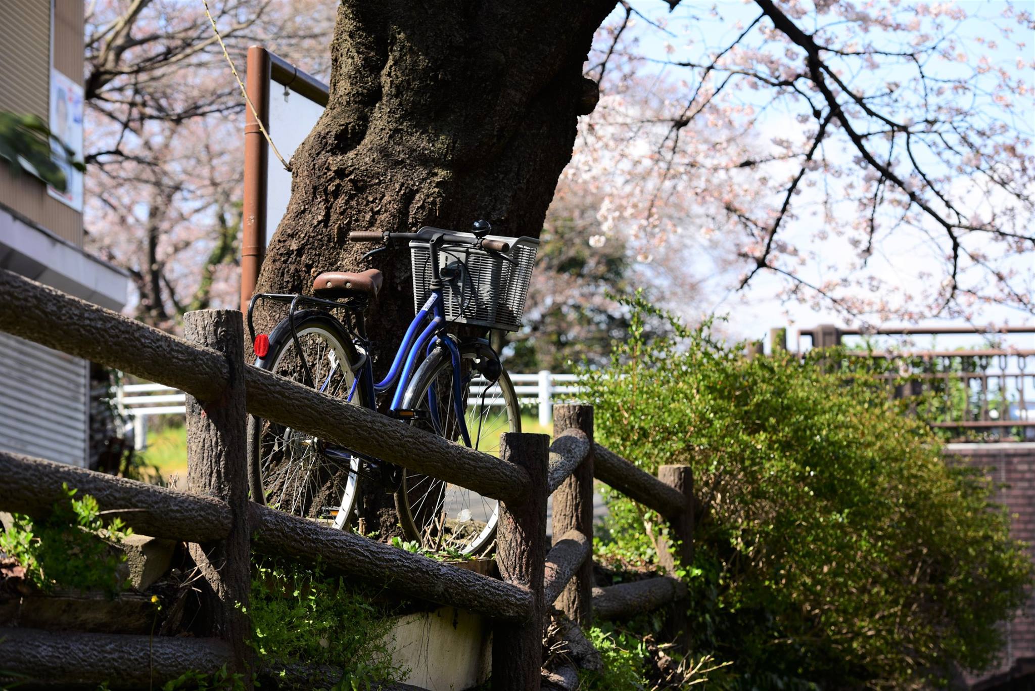 27993064_1926392194356436_1097286437160507122_o