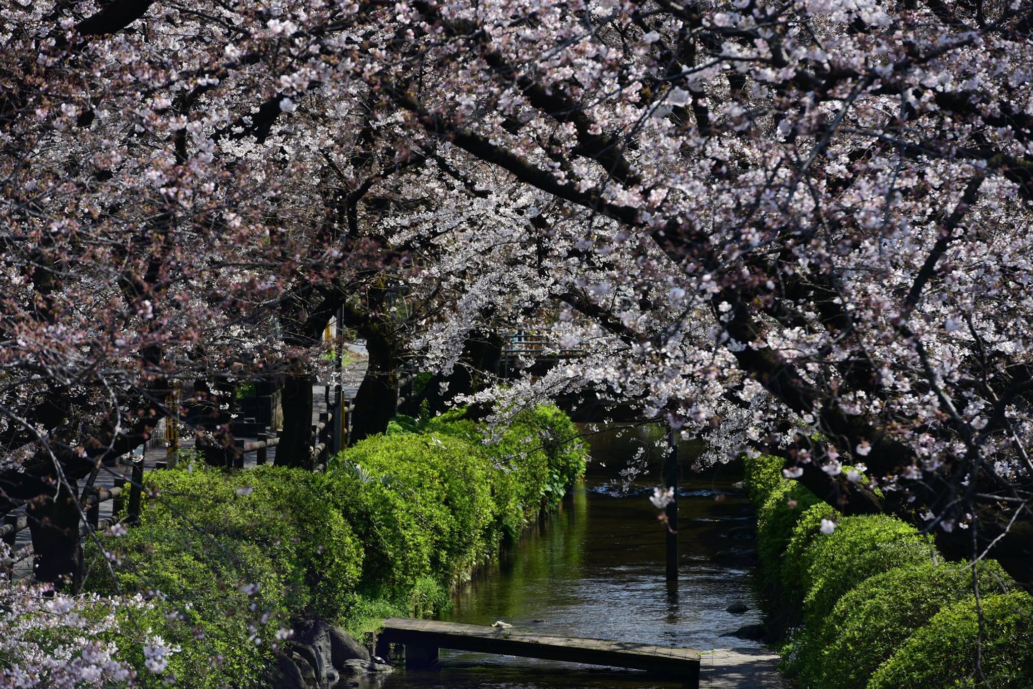 27993567_1926392127689776_4578306518691634648_o