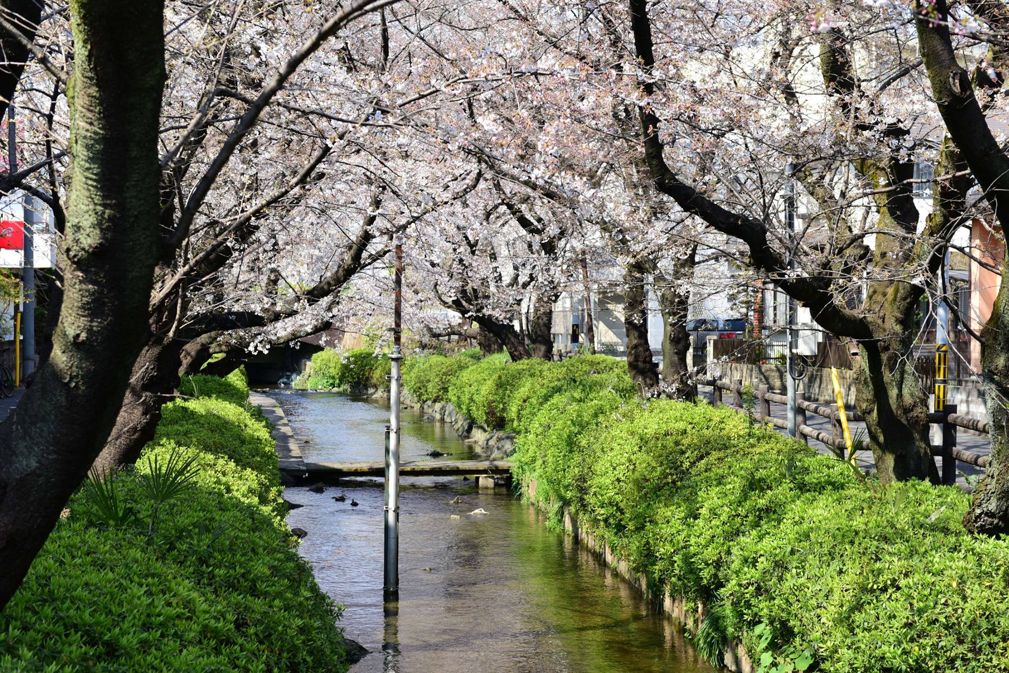 28061648_1926392641023058_3553118501477196953_o