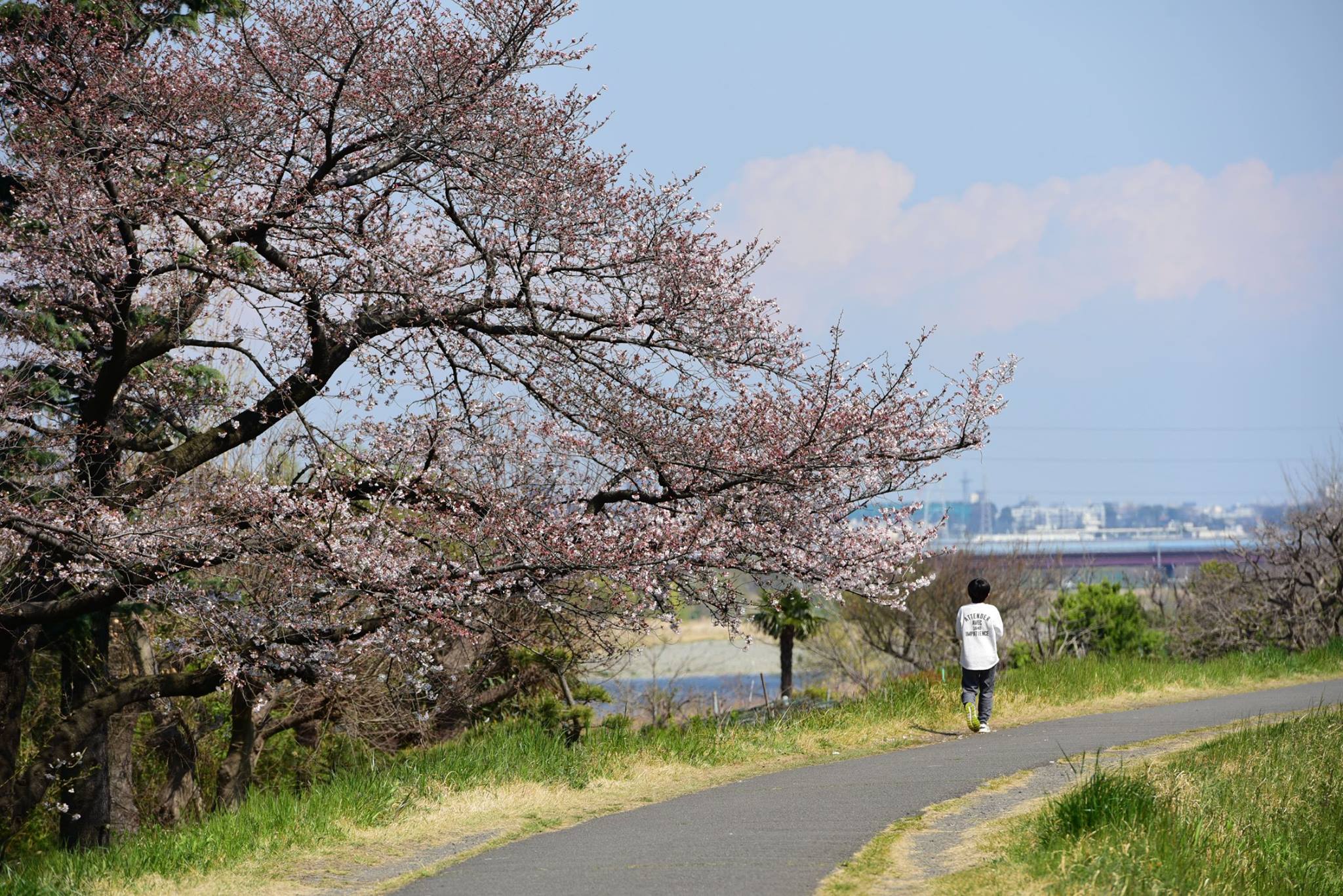 28070444_1926392161023106_8521027112849299507_o