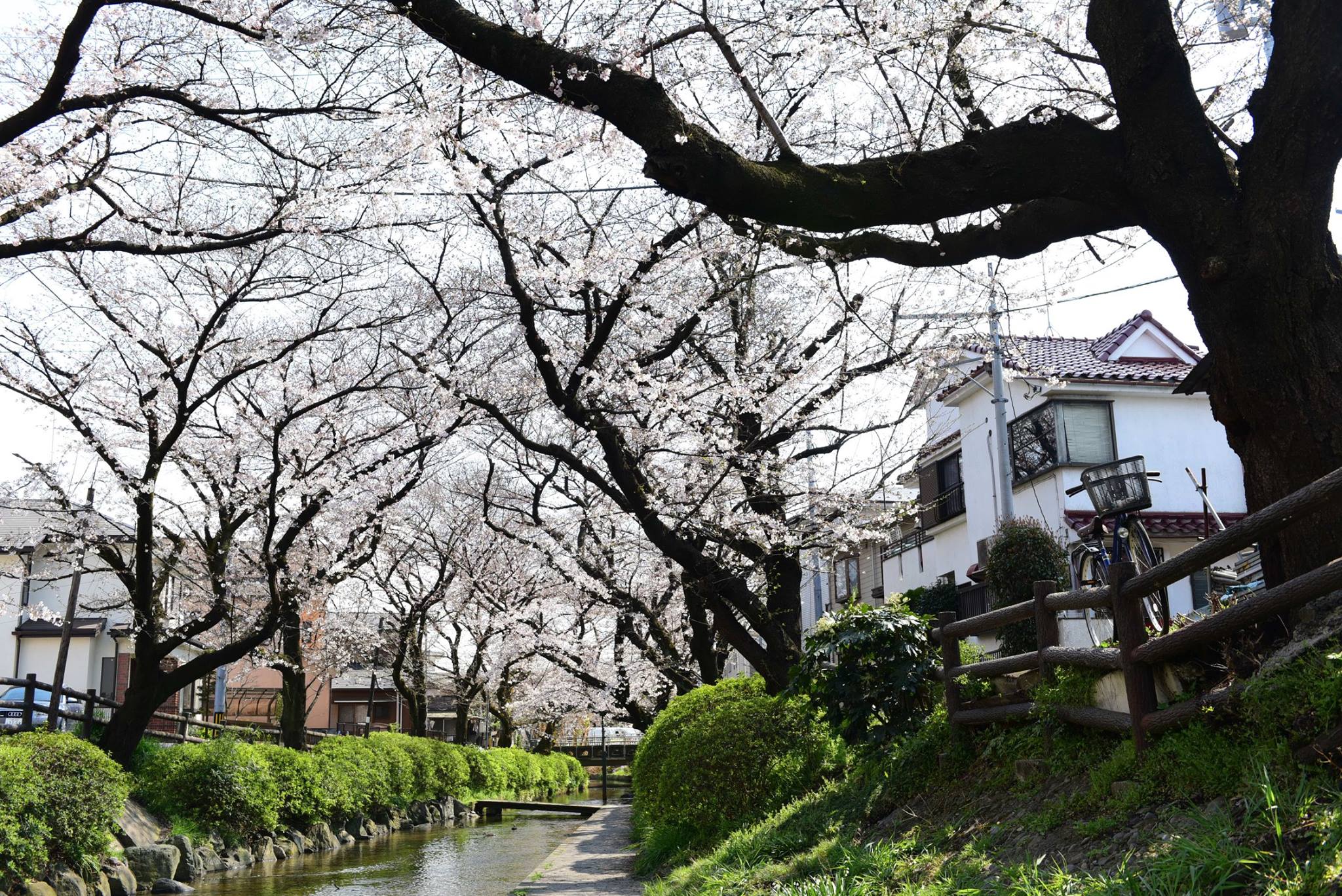 28070518_1926392234356432_888883576676593148_o