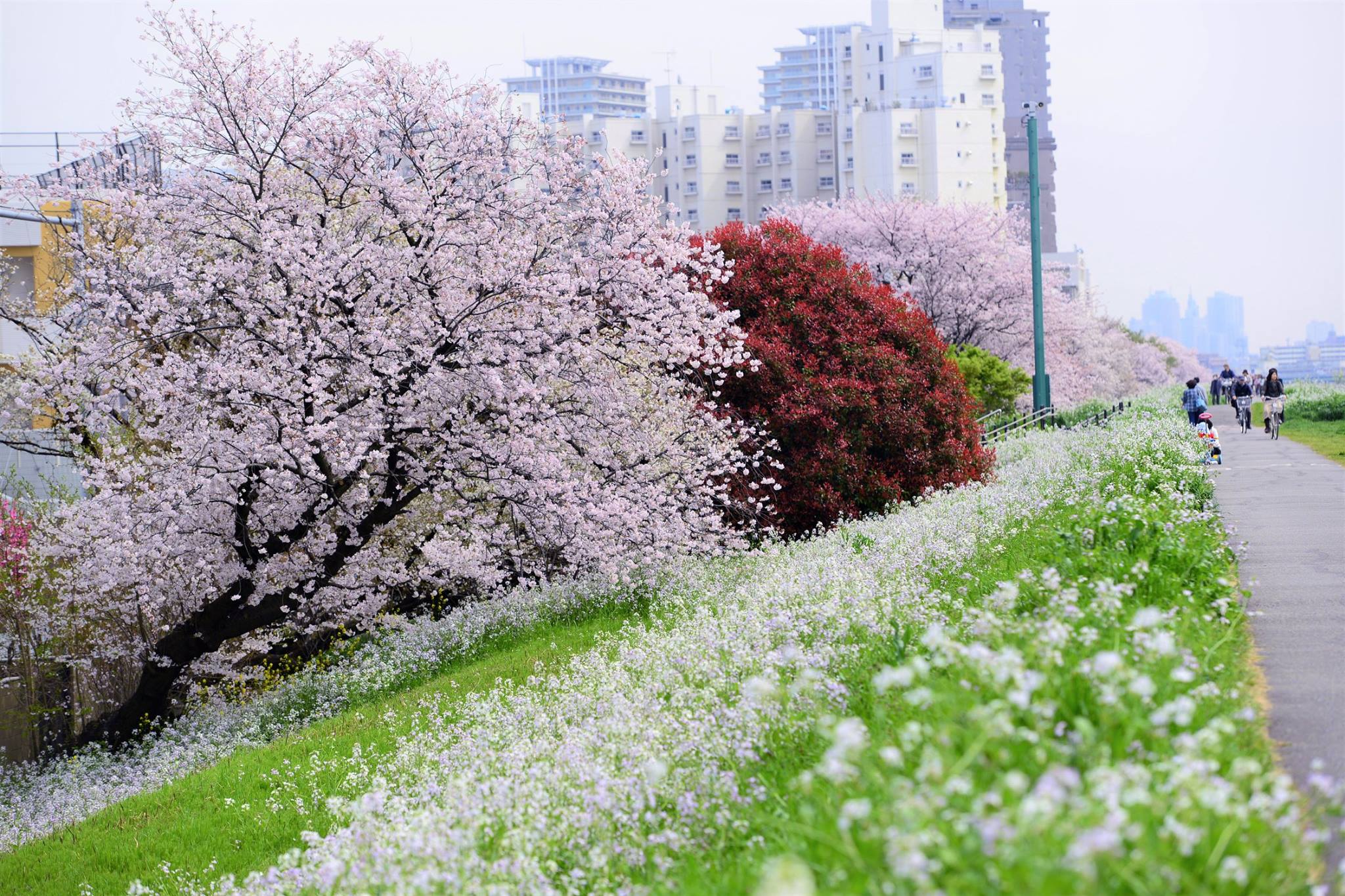 16992535_1748395738822750_1805650853909372479_o