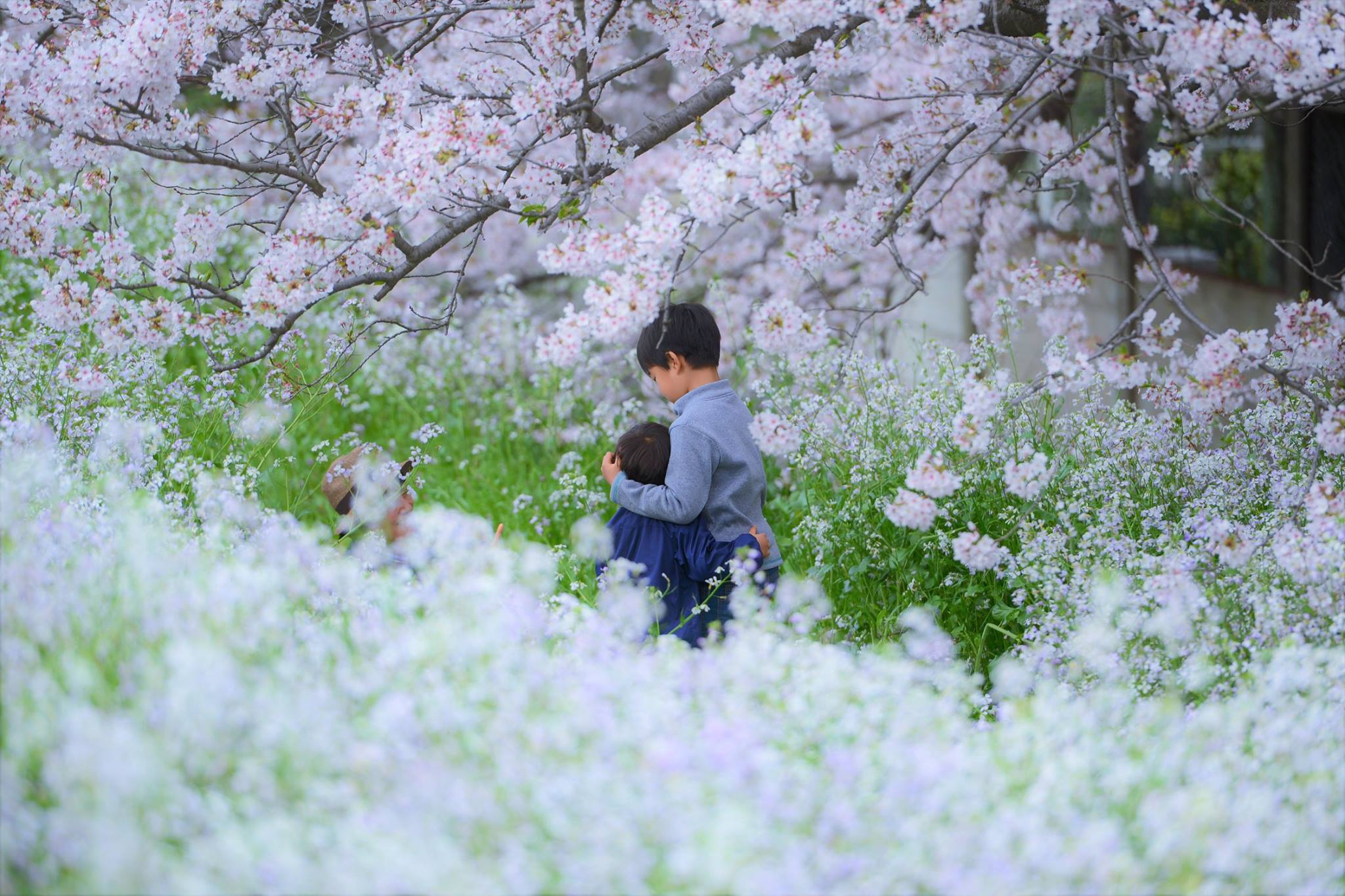 17038595_1748395232156134_2271964161801770319_o