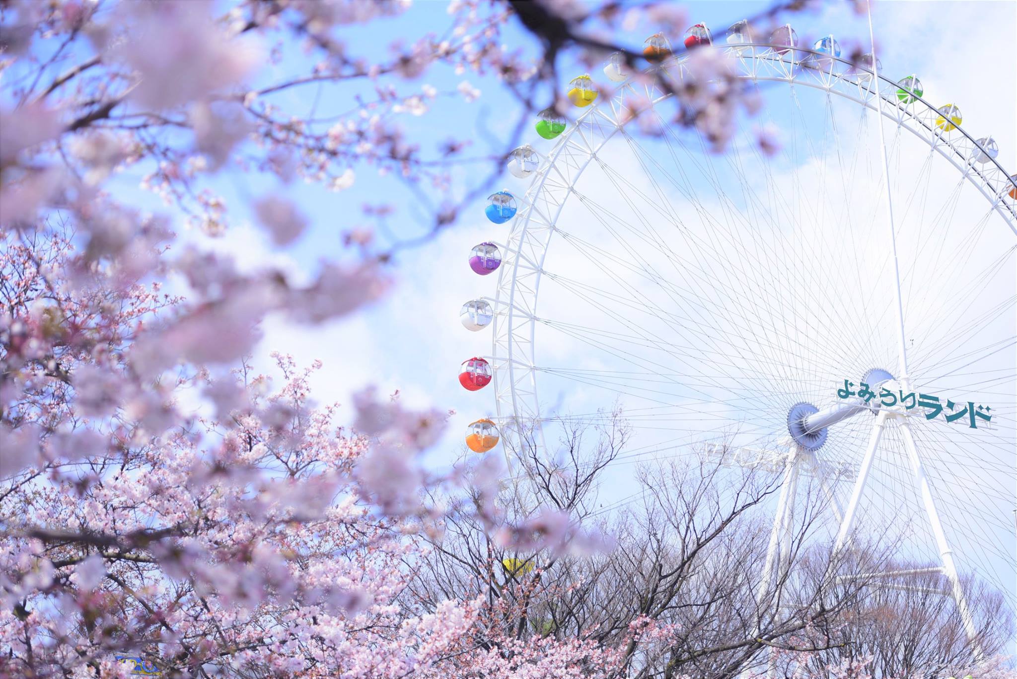 17880756_1770702373258753_9165949944413410184_o