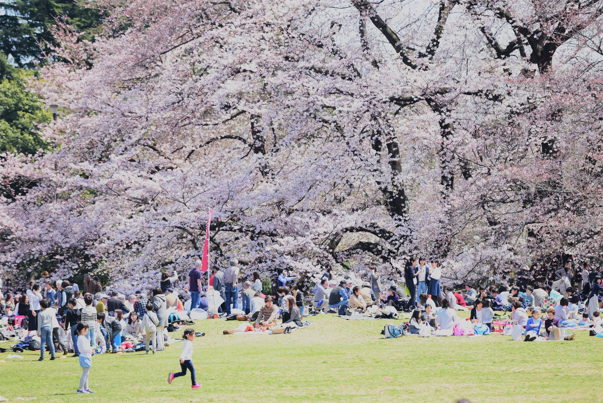 18056163_1775990896063234_2968751052447780596_o