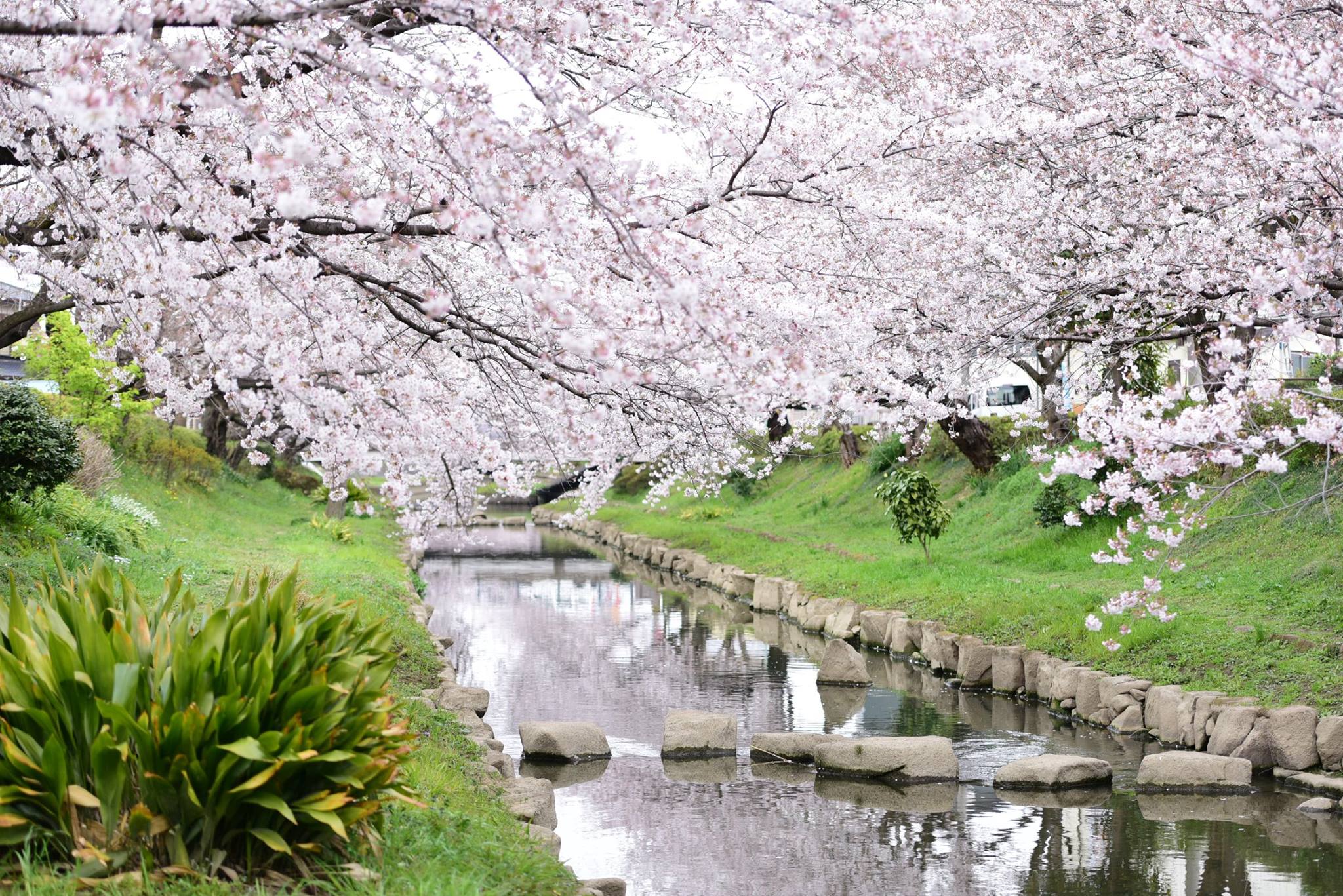 20448970_1833413956987594_8741787799174756955_o