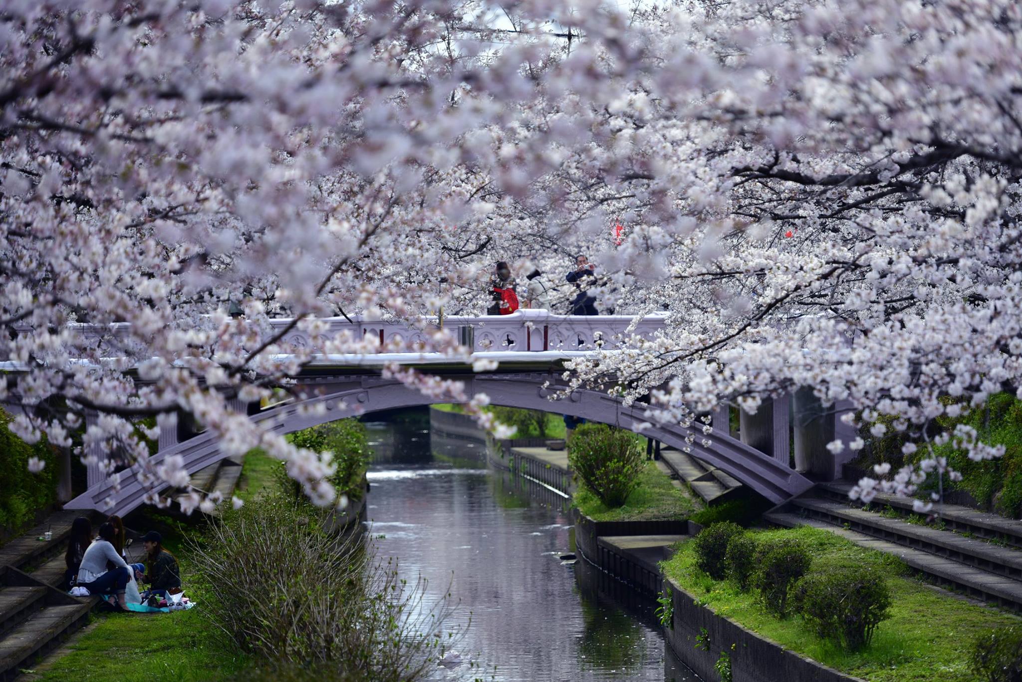 20507361_1833414146987575_2069434932116687021_o