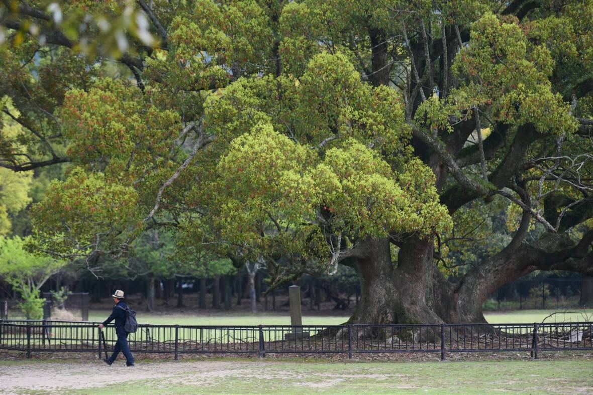 31290636_1964269013902087_1821578420023197696_o