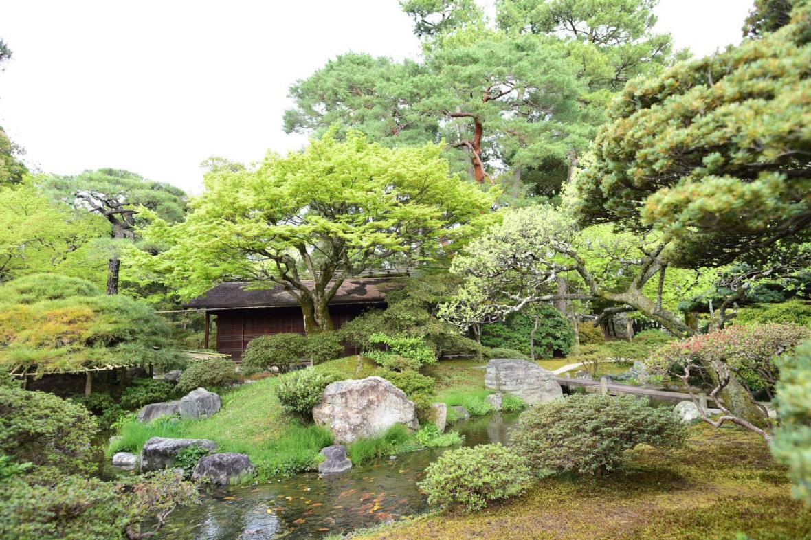 31306798_1964266937235628_4973077696427851776_o