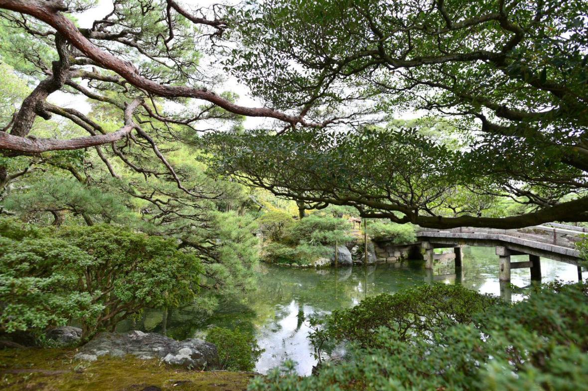 31378791_1964266947235627_2019845599444074496_o