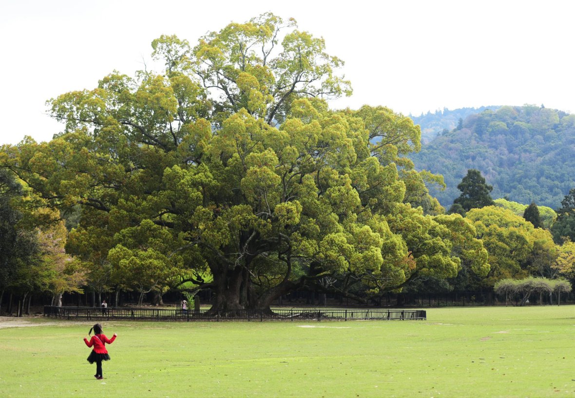 31403926_1964268853902103_3249303893712044032_o