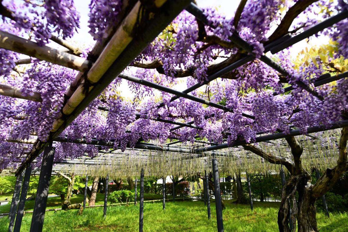 31404320_1964268383902150_6543341070107803648_o