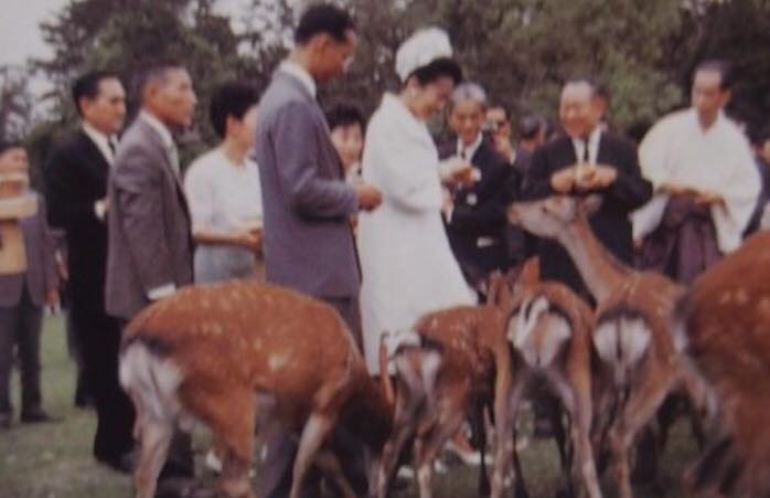 31408196_1964267013902287_8041514959617654784_n