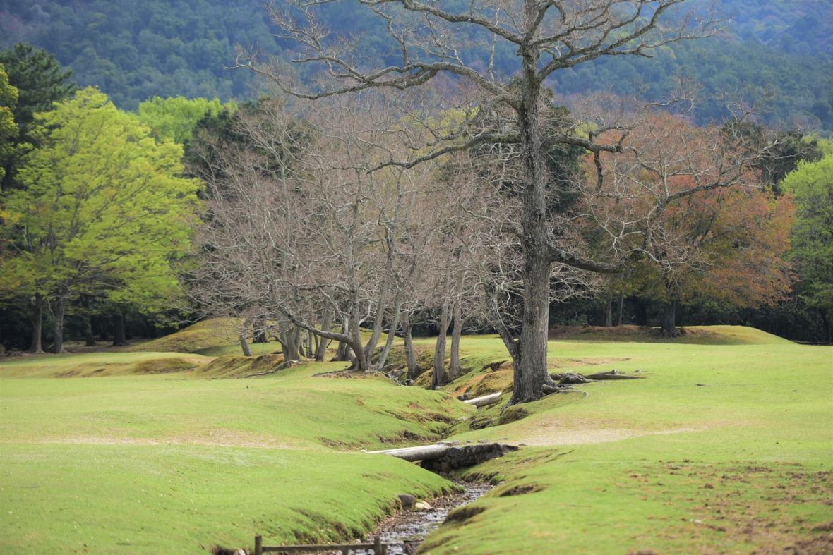 31421519_1964268833902105_3519163913054715904_o