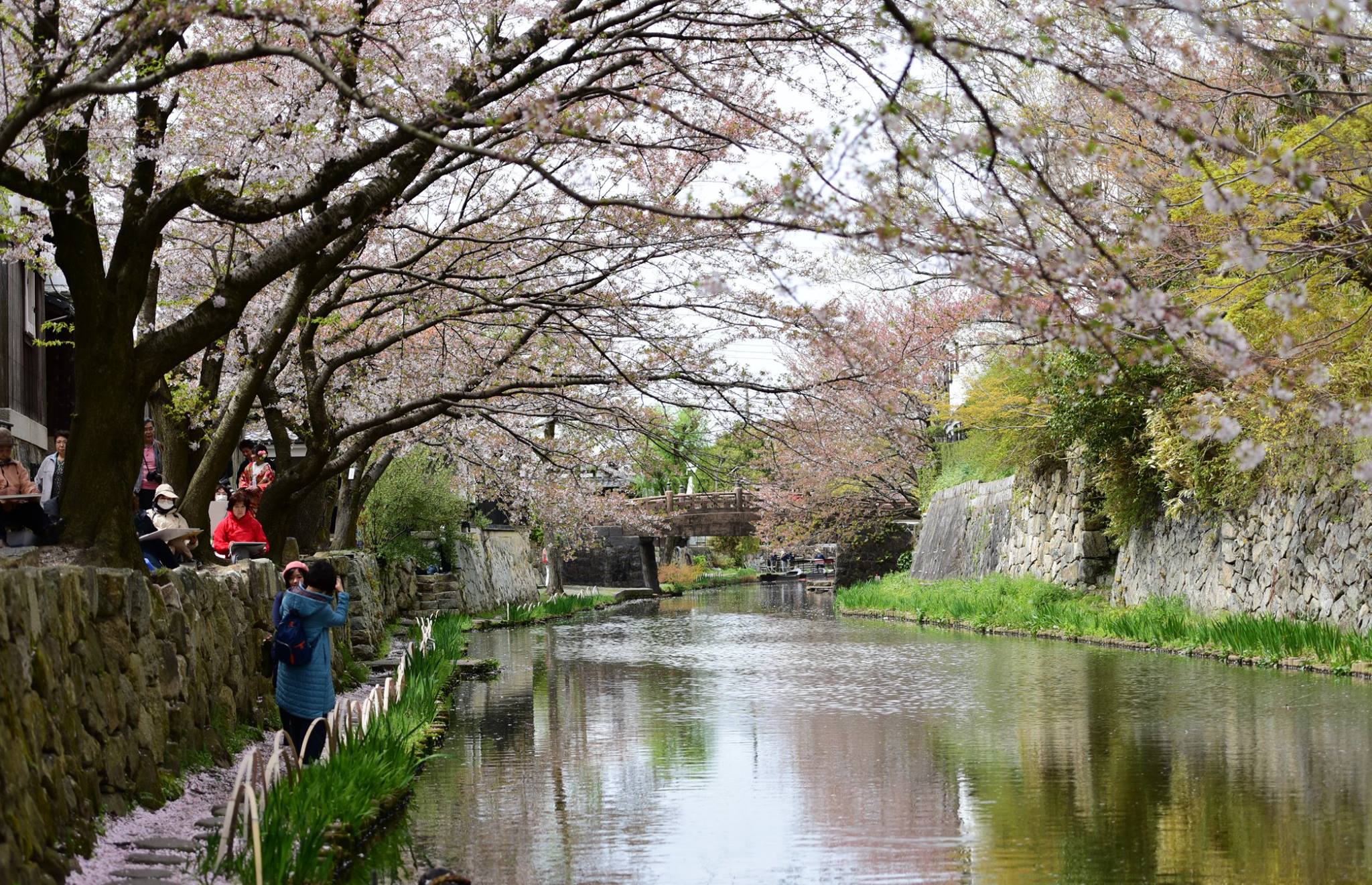 31492189_1965351603793828_380007569499881472_o