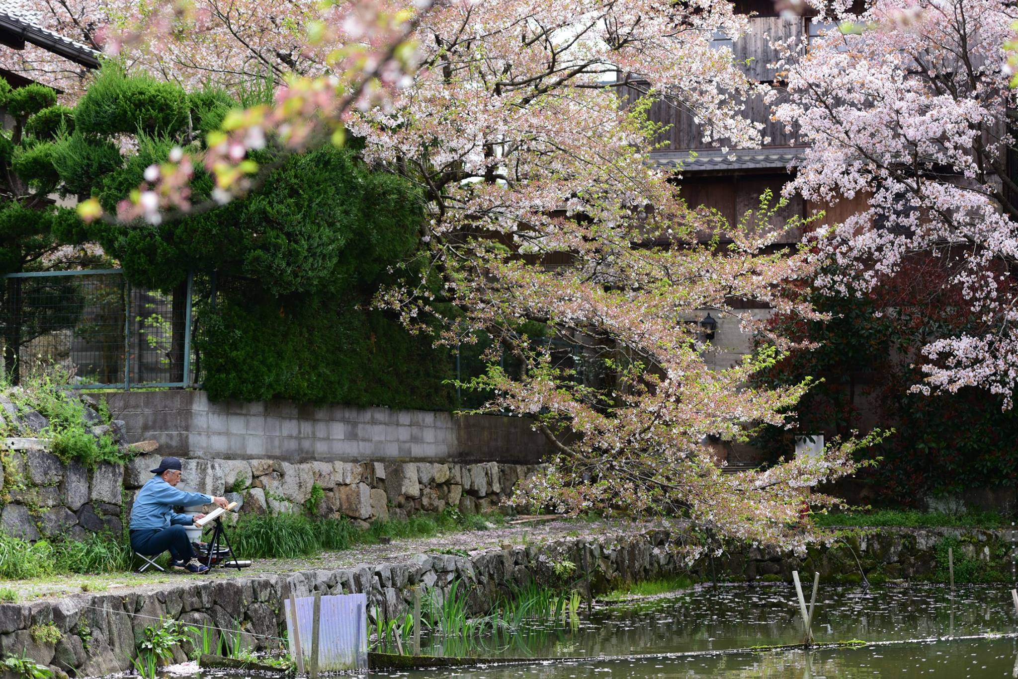 31495326_1965351420460513_2657339078269206528_o