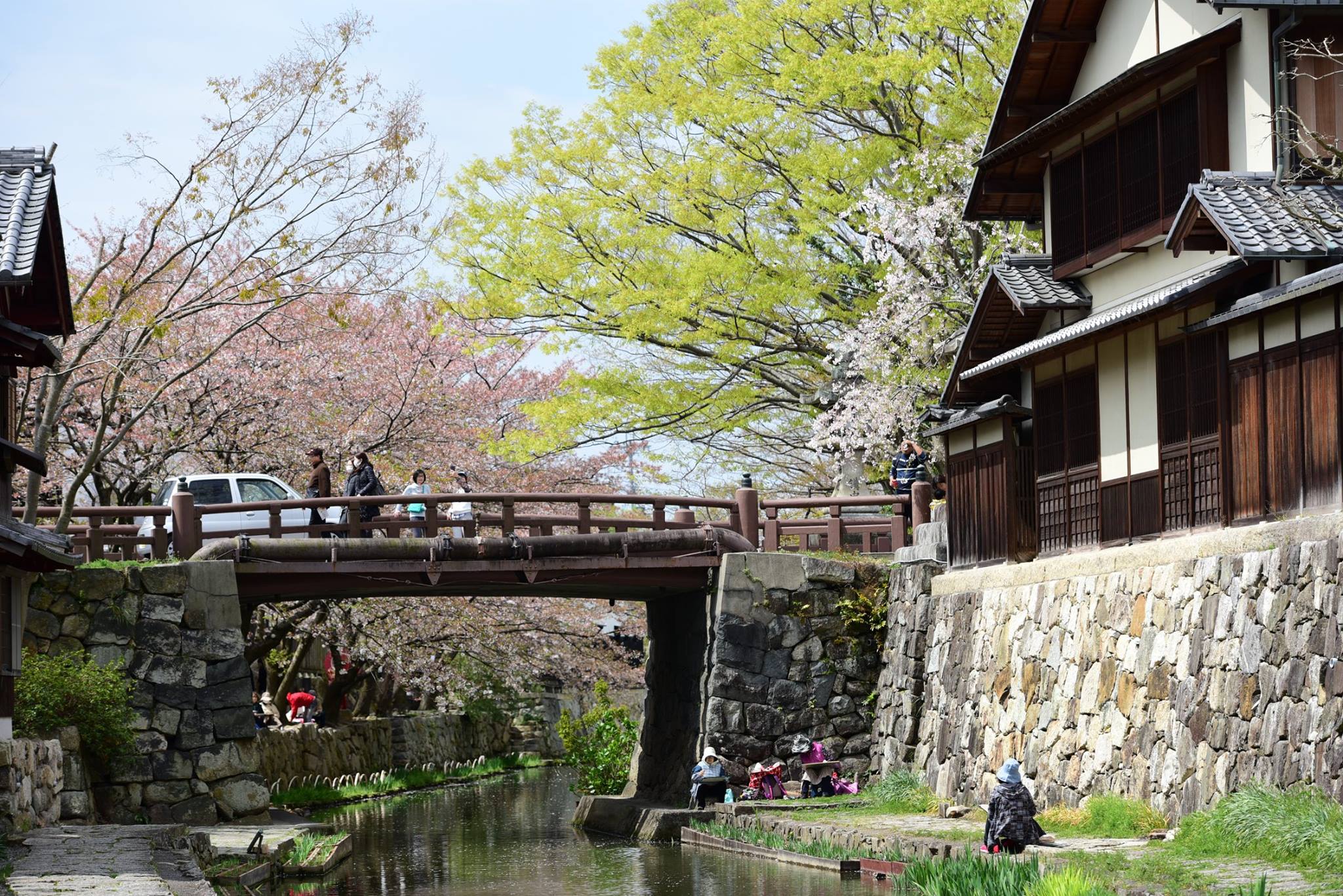 31499619_1965351350460520_2955573000188985344_o