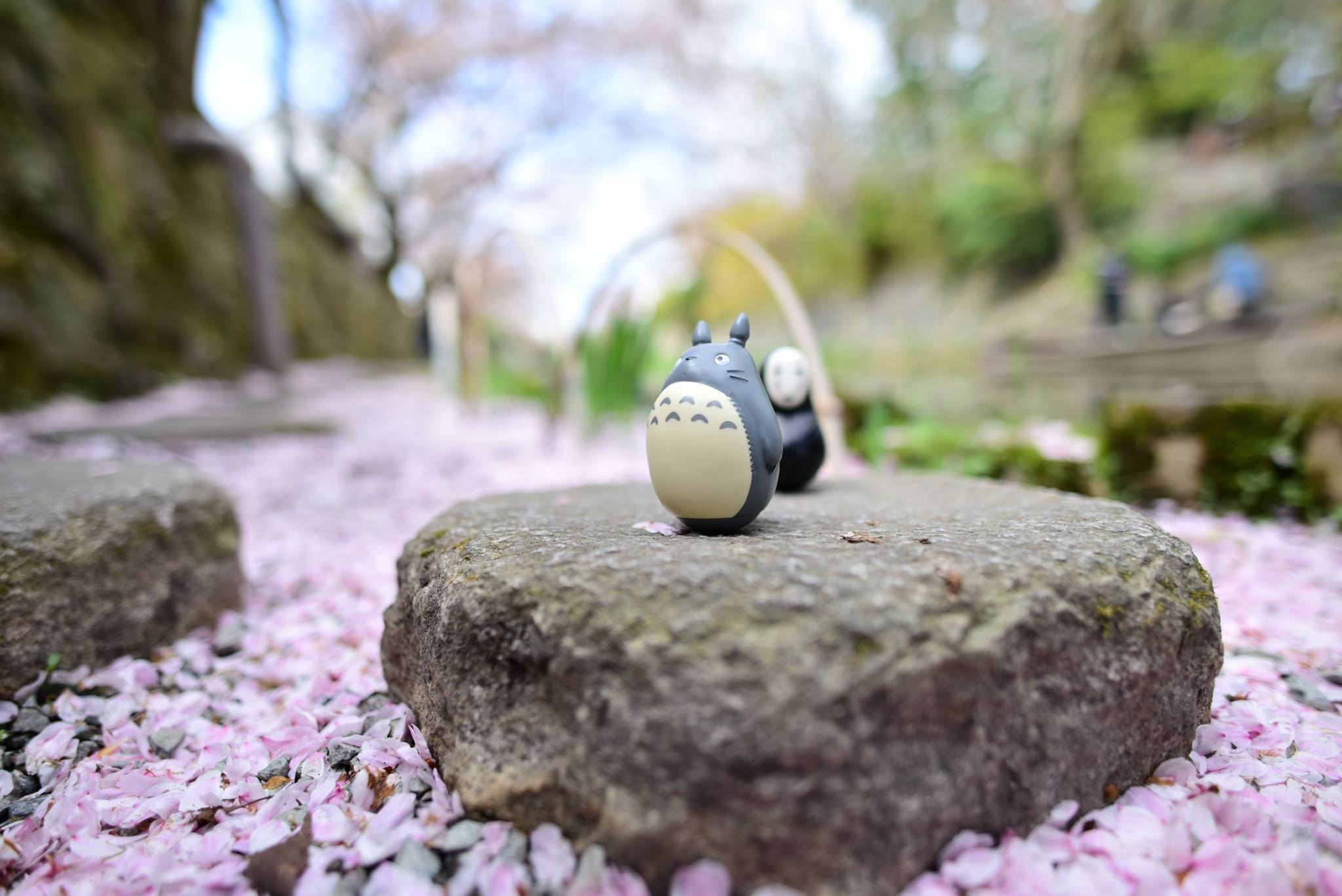 31500632_1965351847127137_6033341535095881728_o