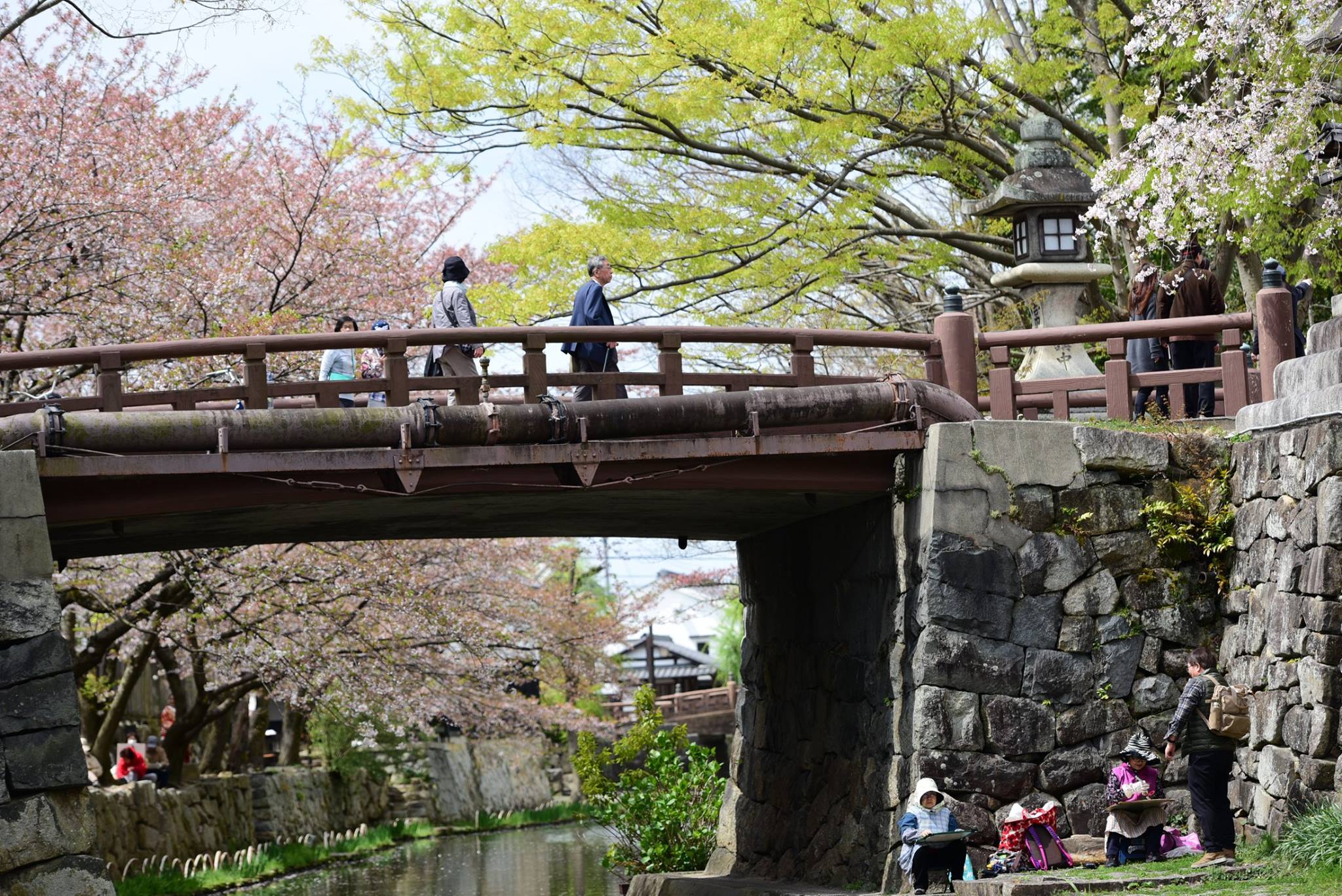 31515166_1965351293793859_3354035966850367488_o