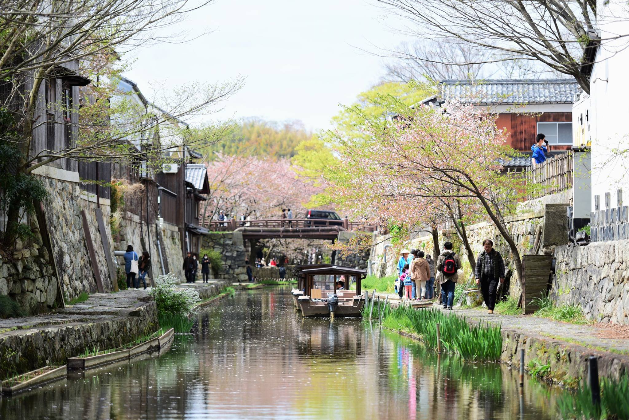 31530445_1965351380460517_5713539232308396032_o