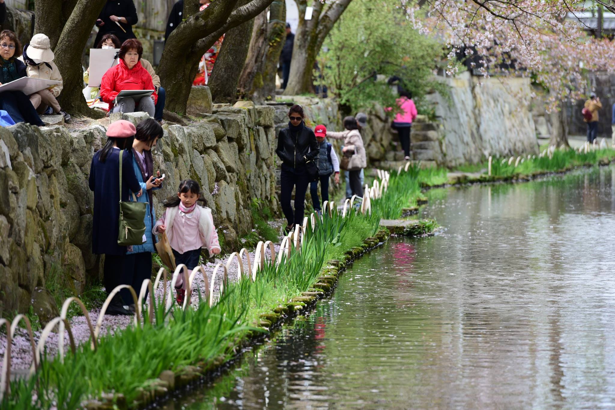 31563927_1965351537127168_2582769065802072064_o