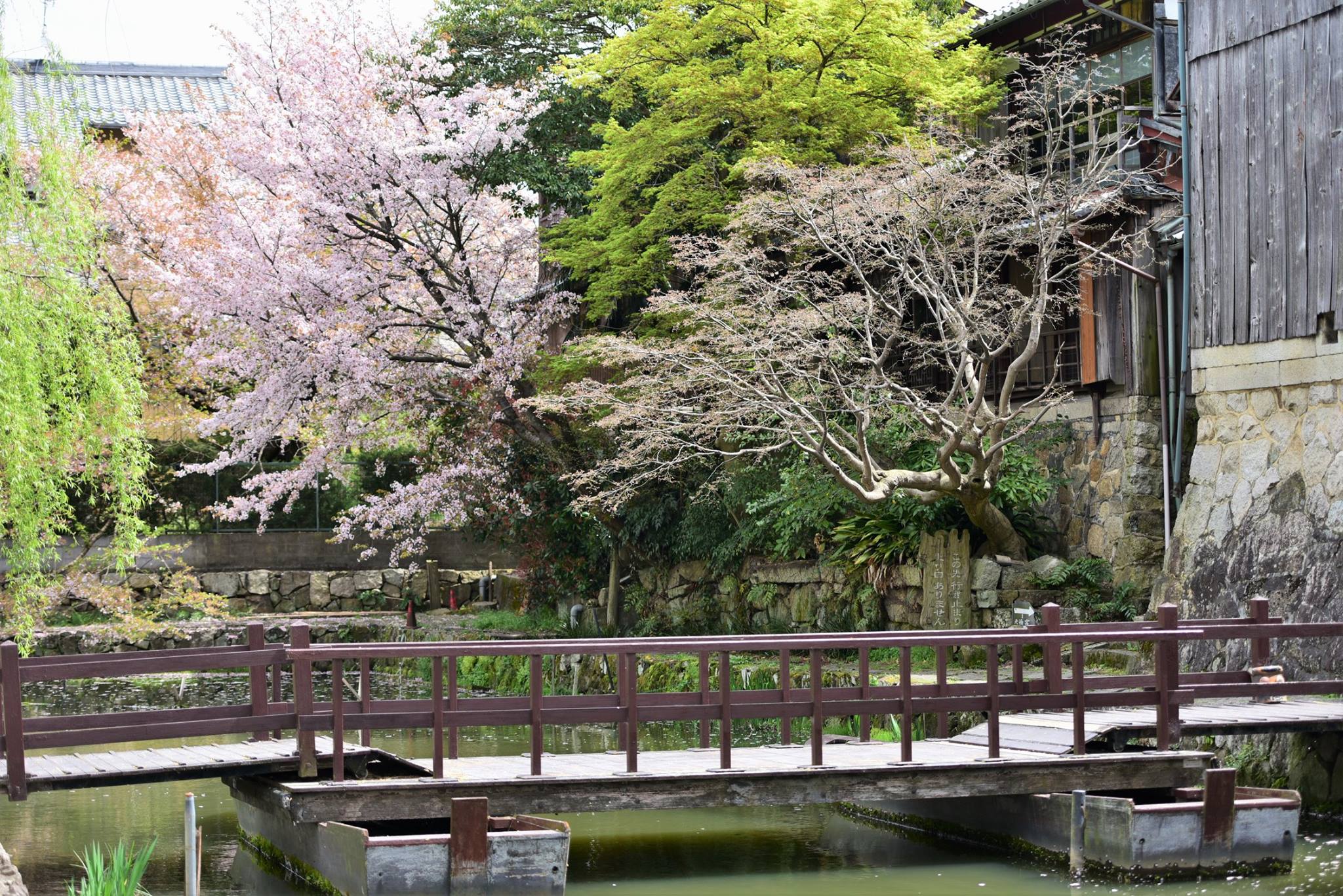 31655412_1965351667127155_1227332637643767808_o