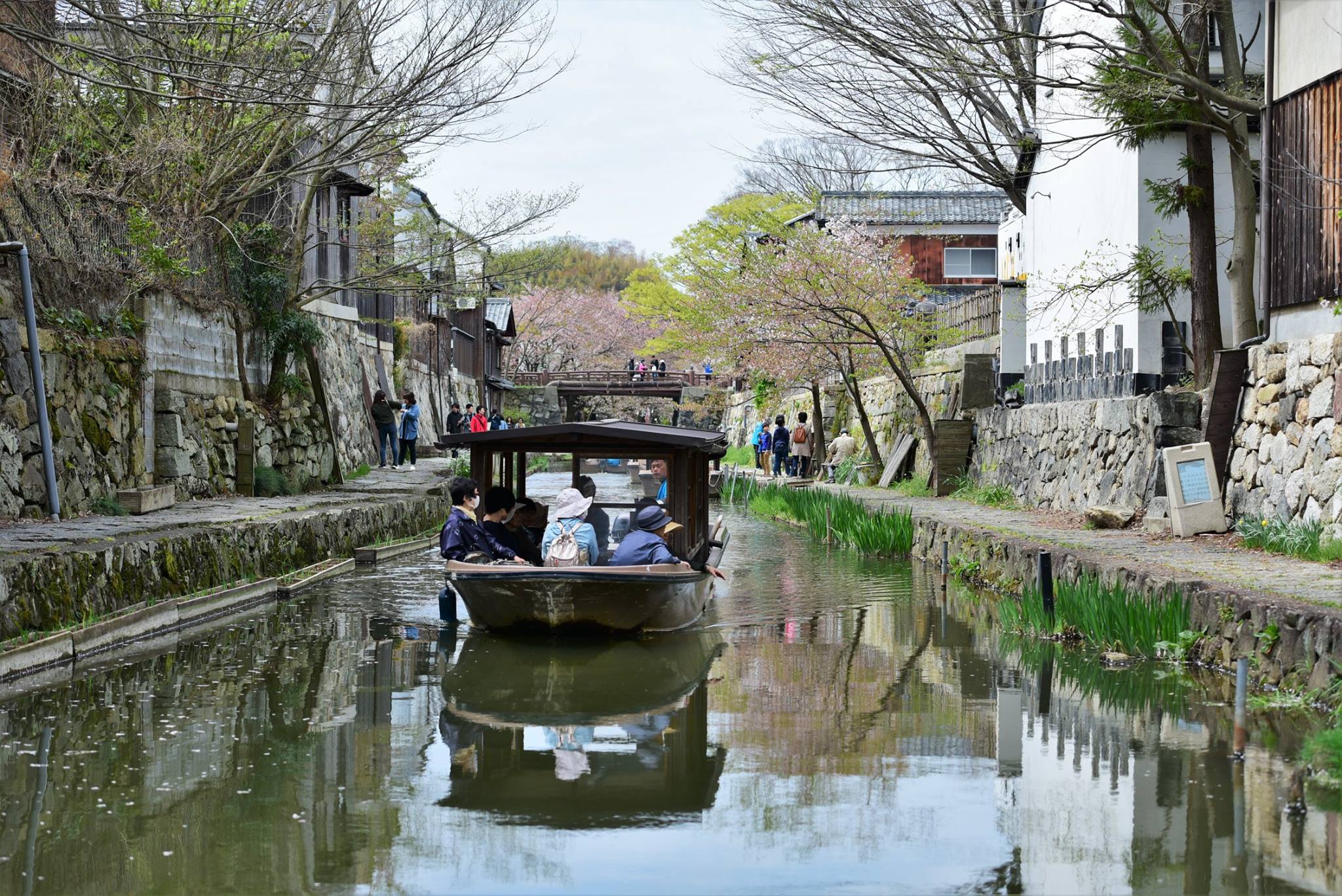 31673348_1965351453793843_3778870002644418560_o