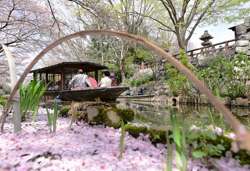 31675325_1965351190460536_4730101904615407616_n