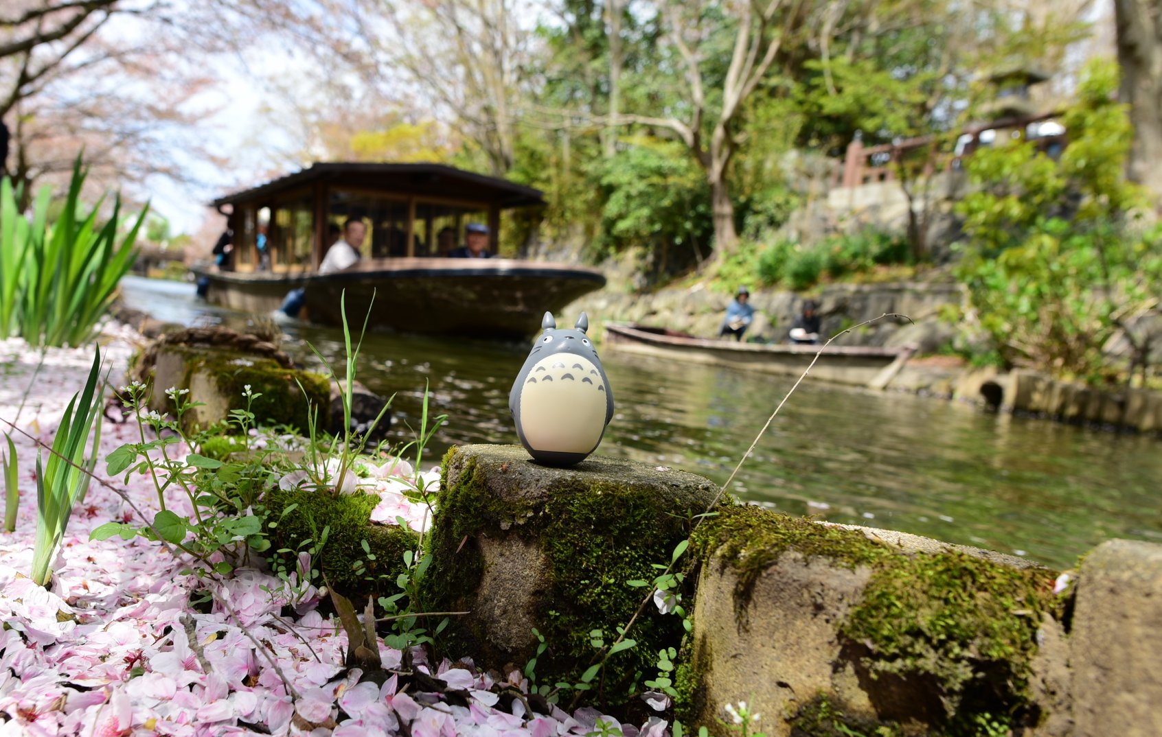 31682265_1965351873793801_8917972885419589632_o