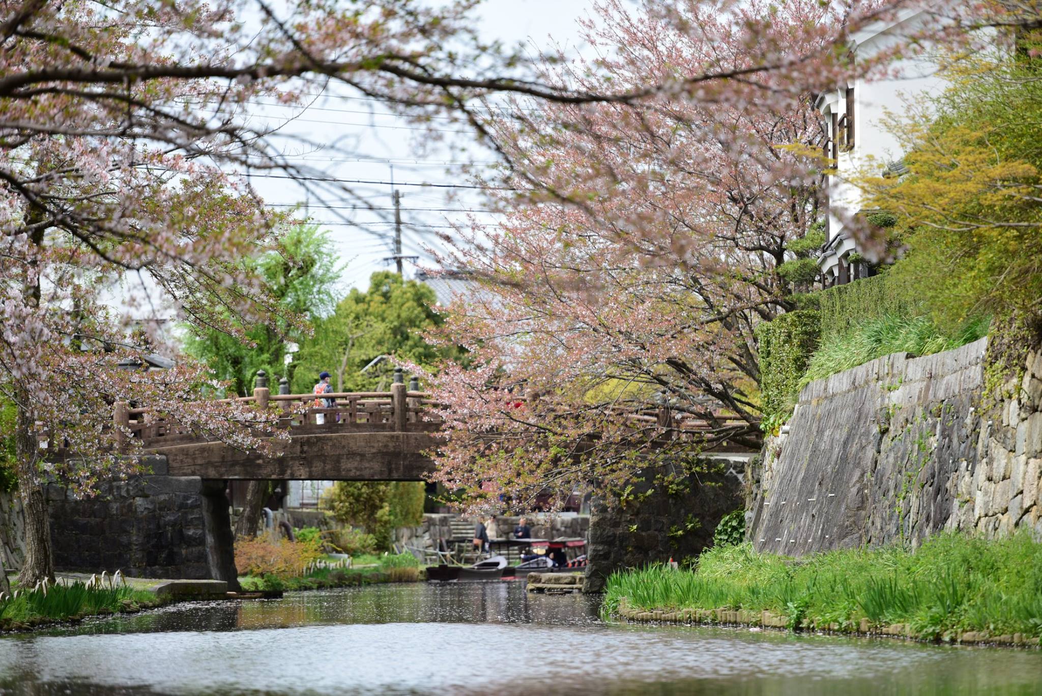 31698998_1965351573793831_3903167258133790720_o