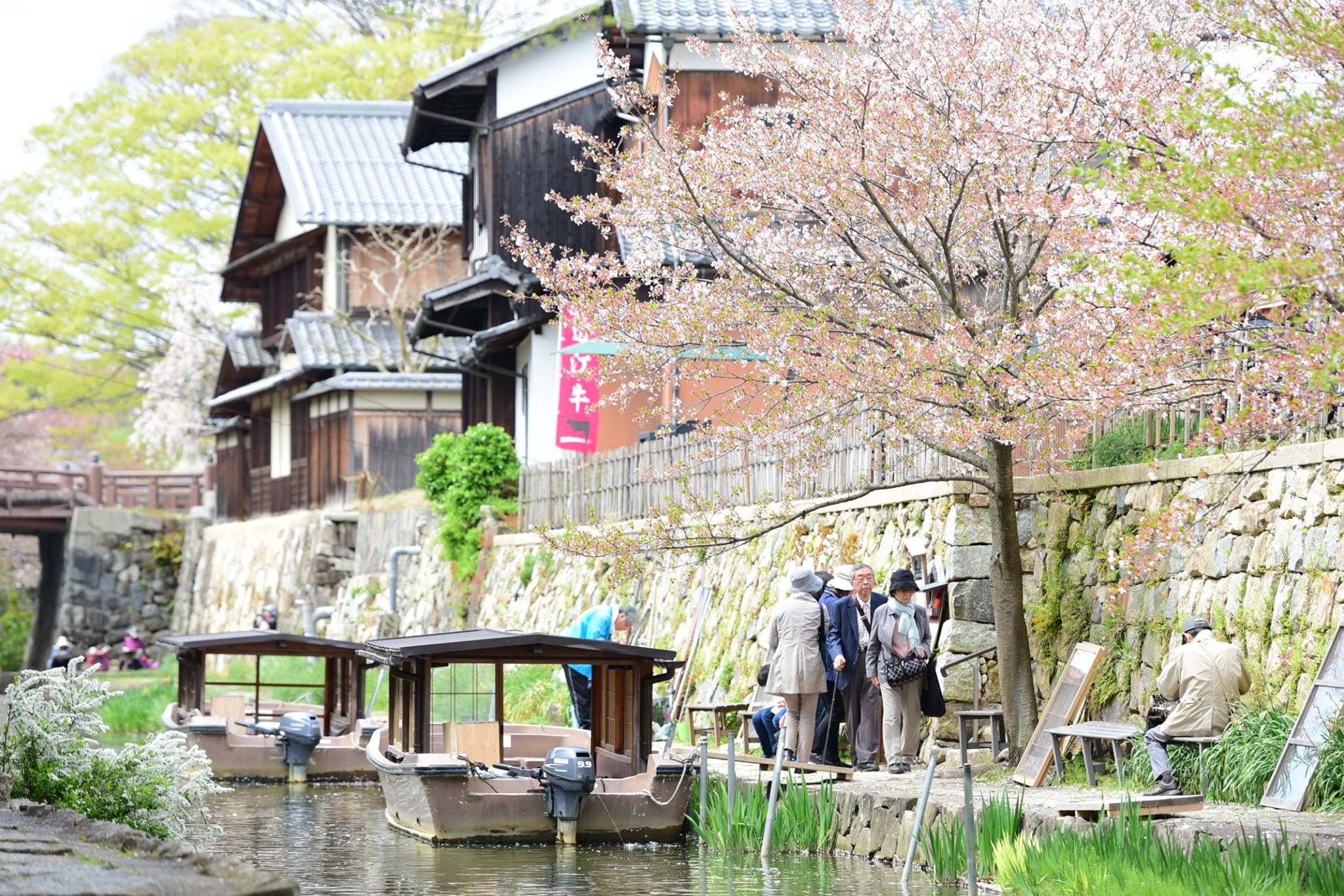 31717976_1965351483793840_334682560581861376_o