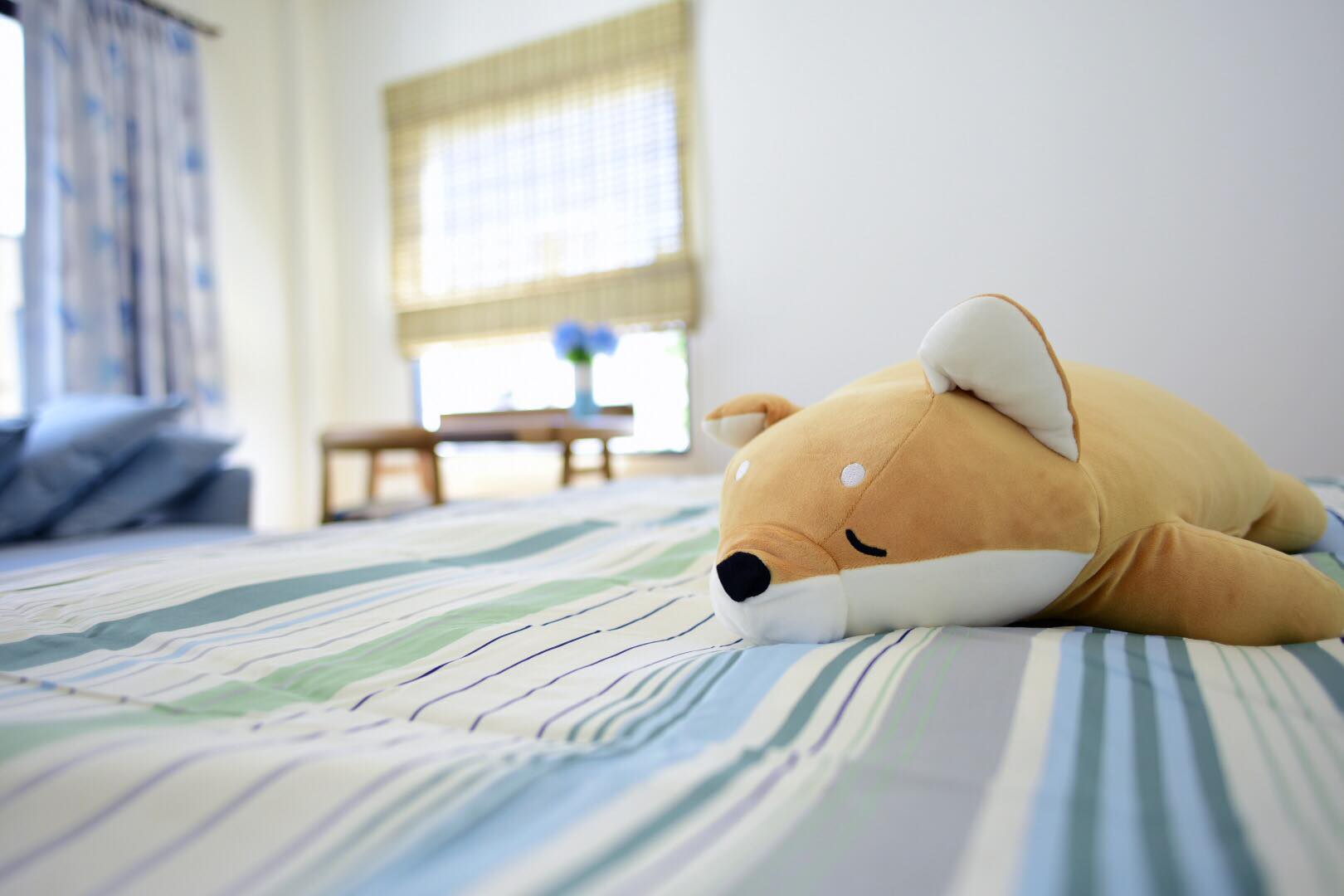 28954400_1621350964649449_7070518233404228005_o